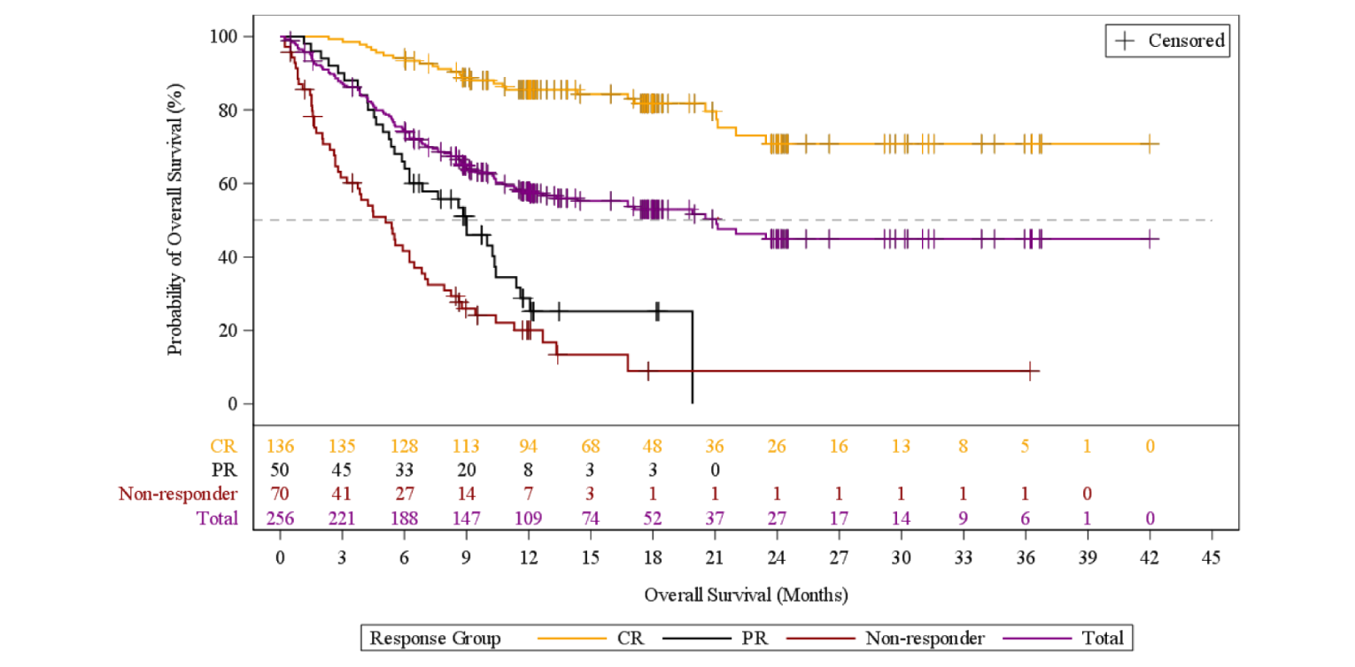 This figure depicts the survival curves for best overall response in the DLBCL efficacy set, starting at 100% survival and reaching 50% between 21 and 24 months.