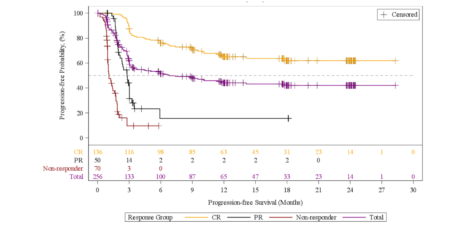 This figure depicts the survival curves for progression-free survival in the DLBCL efficacy set, starting at 100% survival and reaching 50% between 6 and 9 months.