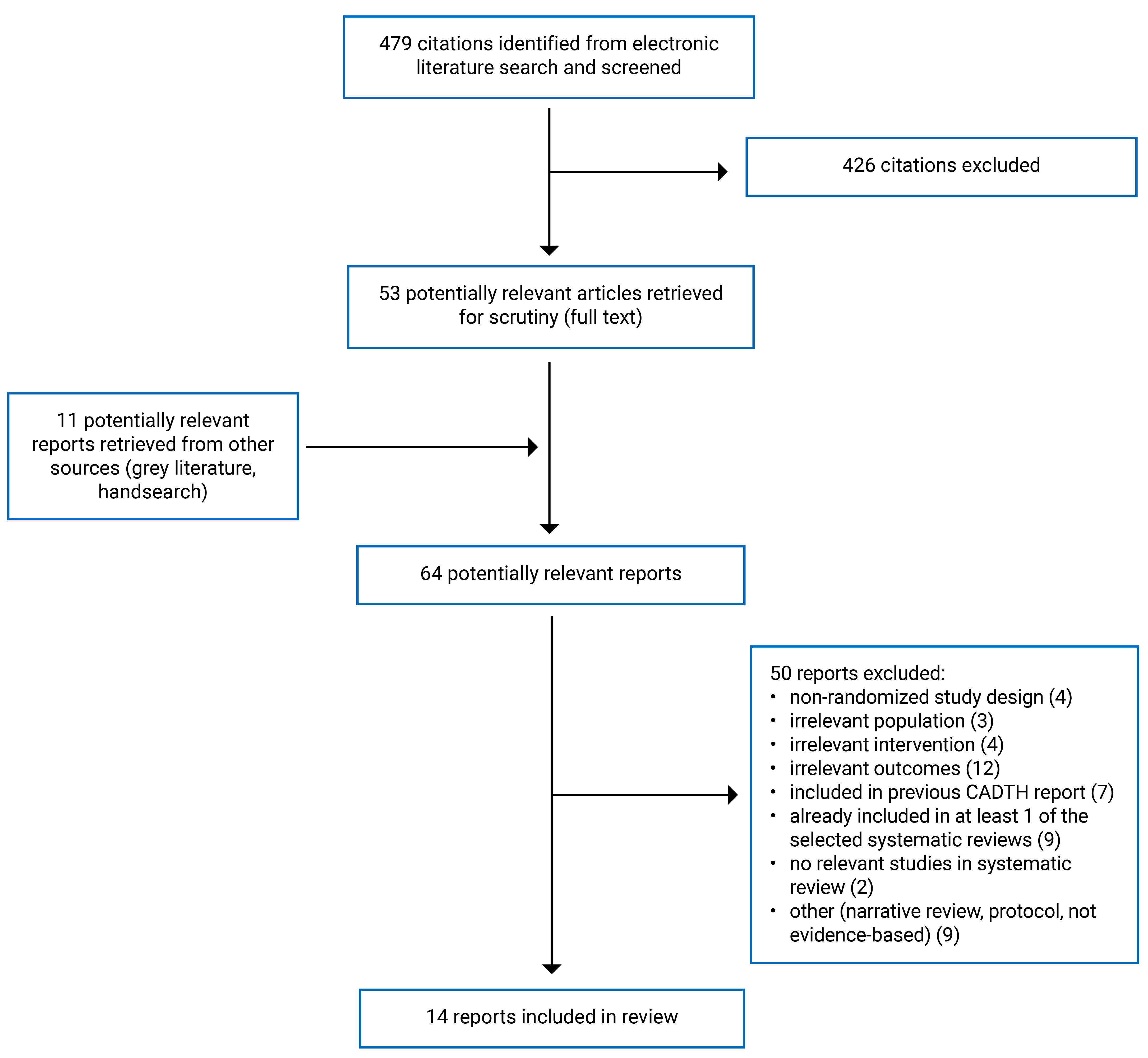 Of the 479 citations identified, 426 were excluded, while 53 electronic literature and 11 grey literature potentially relevant full-text reports were retrieved for scrutiny. In total, 14 reports are included in the review.