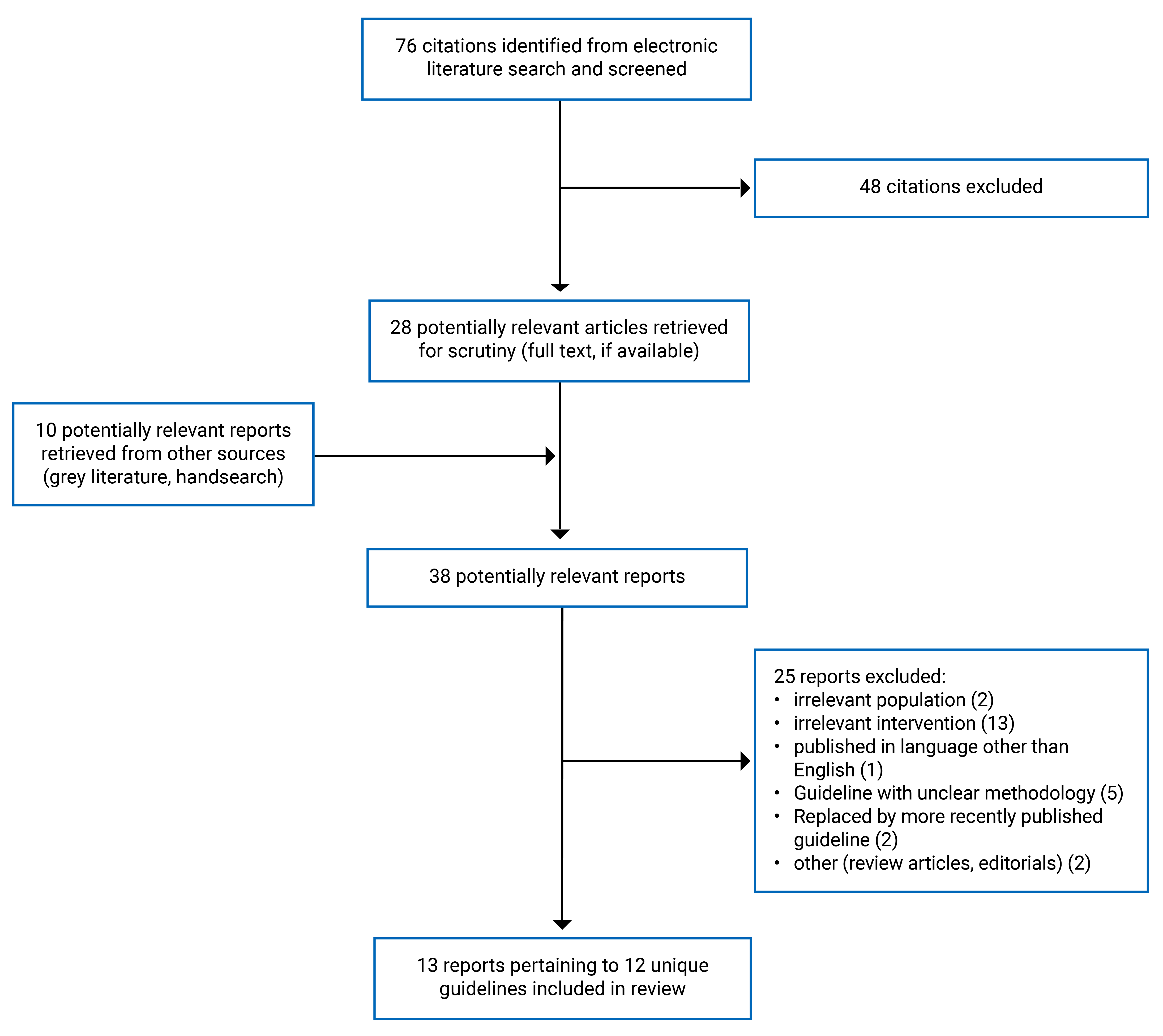 Of the 76 citations identified, 48 were excluded, while 28 electronic literature and 10 grey literature potentially relevant full-text reports were retrieved for scrutiny. In total, 13 reports are included in the review.