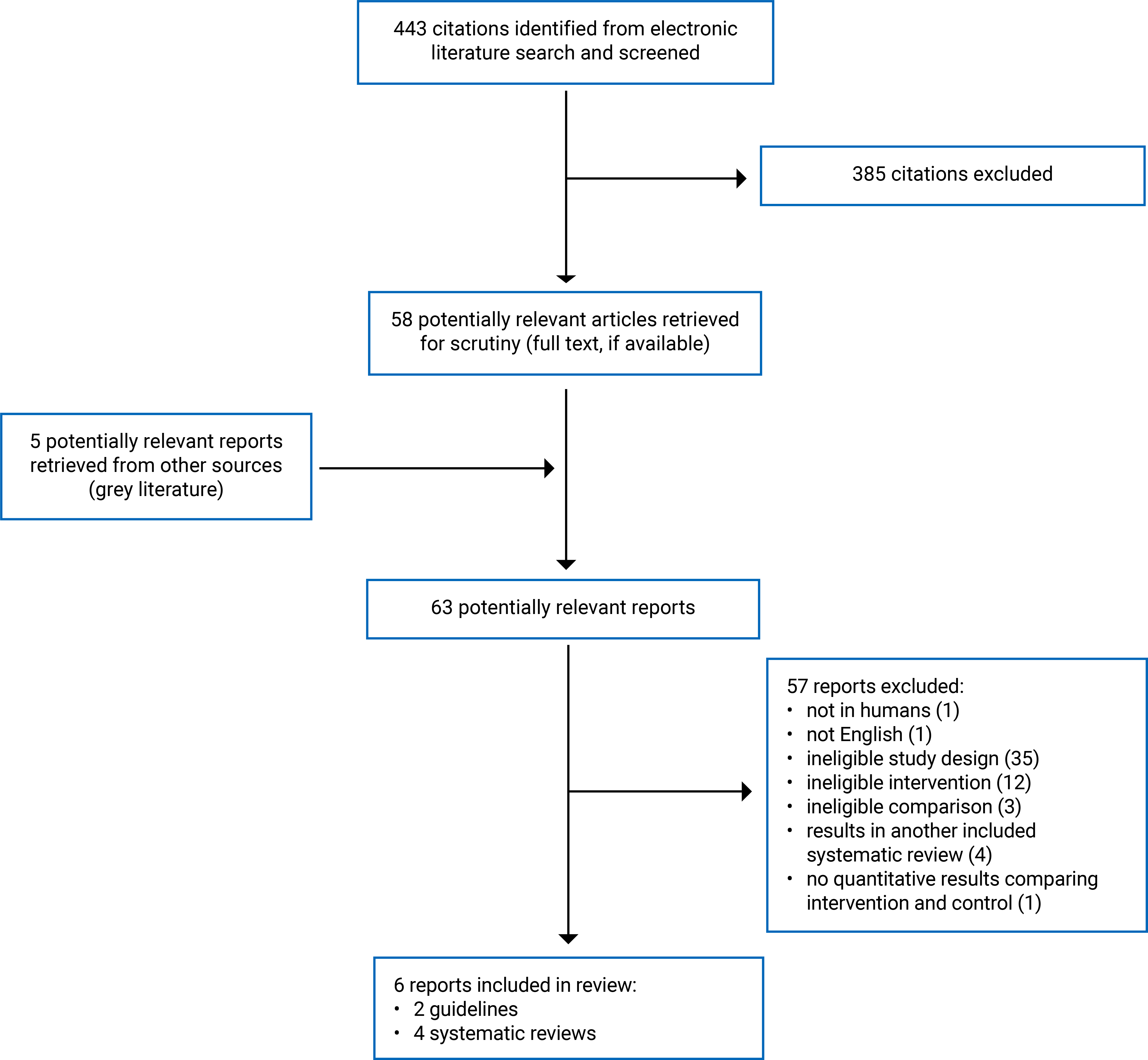 A flow diagram showing 443 citations were identified and 385 were excluded. There were 5 potentially relevant reports retrieved from other sources, for a total of 63 potentially relevant articles and grey literature reports retrieved for scrutiny. In total, 57 were excluded and 6 reports were included in the review.