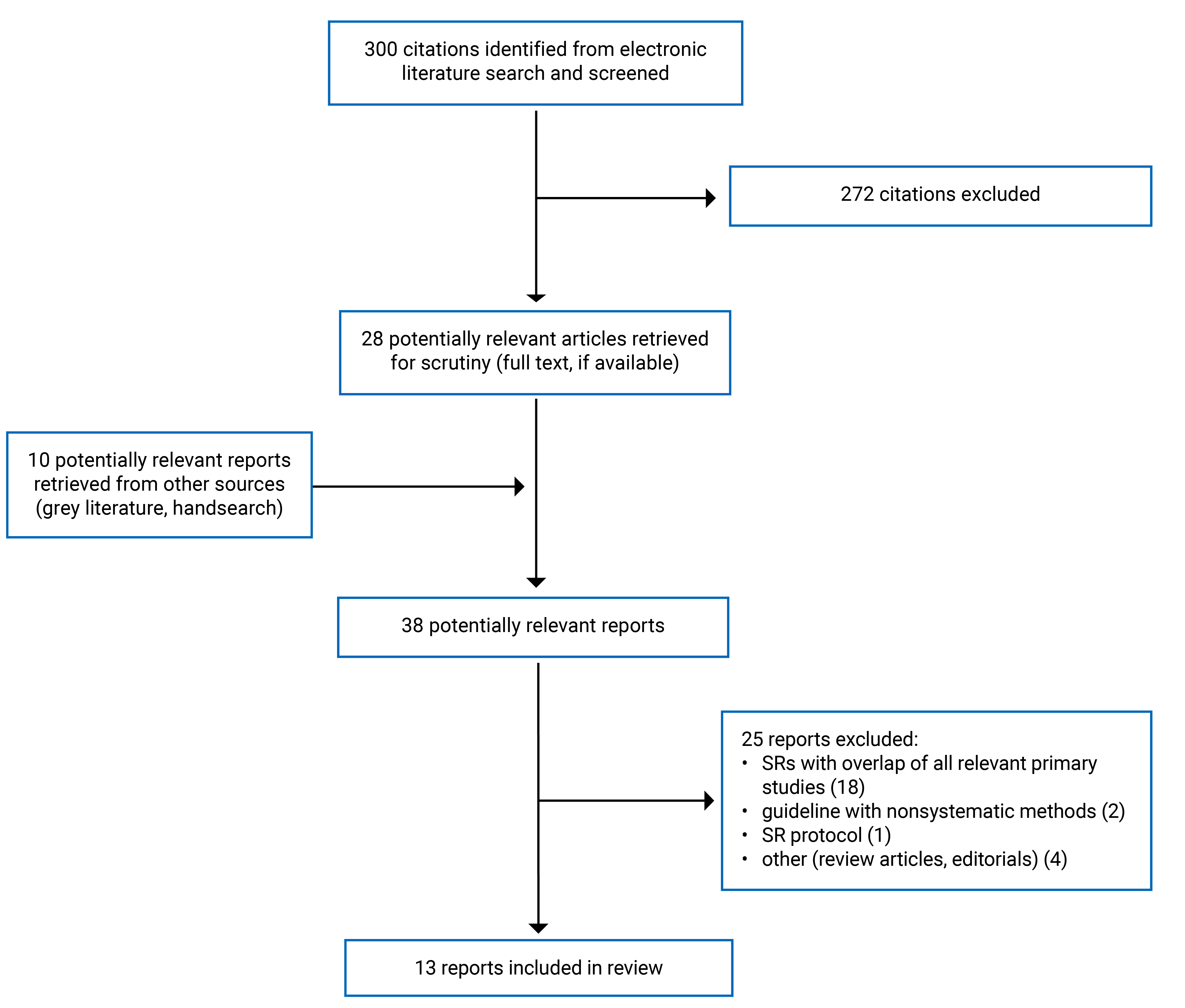Overall, 300 citations were identified, 272 were excluded, while 28 electronic literature and 10 grey literature potentially relevant full-text reports were retrieved for scrutiny. In total 13 reports were included in the review.