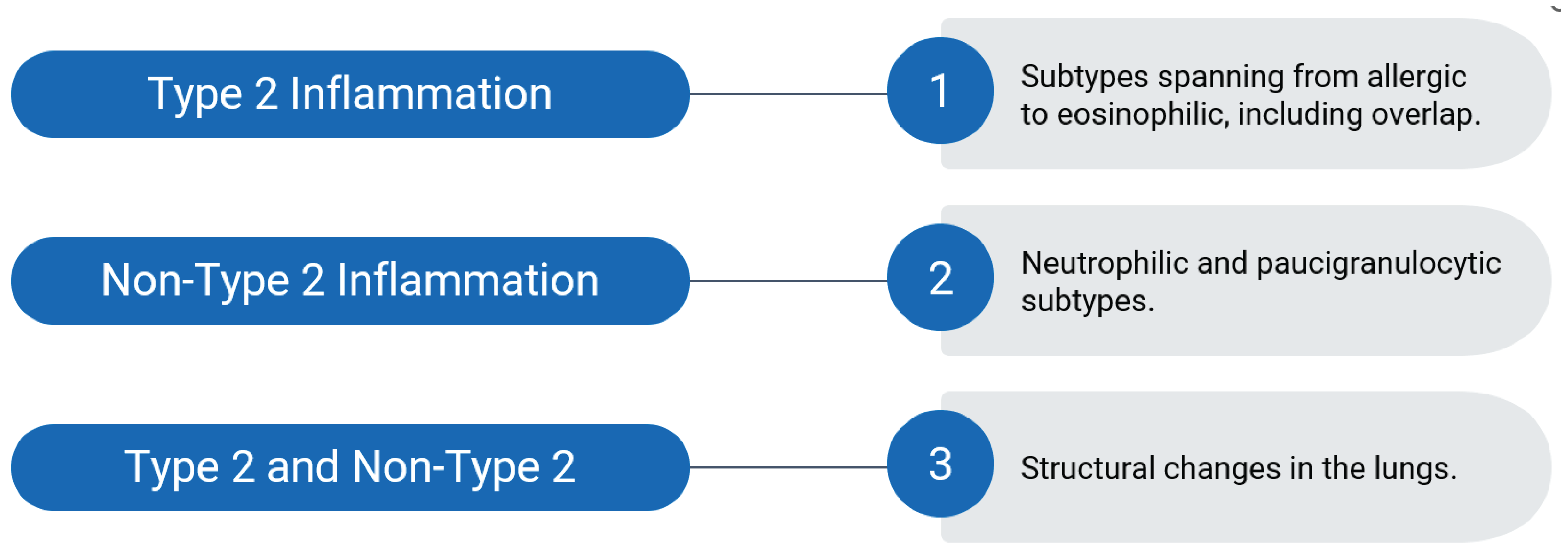 There are 3 severe asthma typologies and associated subtypes. Type 2 inflammatory asthma has subtypes spanning from allergic to eosinophilic, including overlap. Non–type 2 inflammatory asthma has neutrophilic and paucigranulocytic subtypes. Type 2 and non–type 2 inflammatory asthma can have structural changes in the lungs.