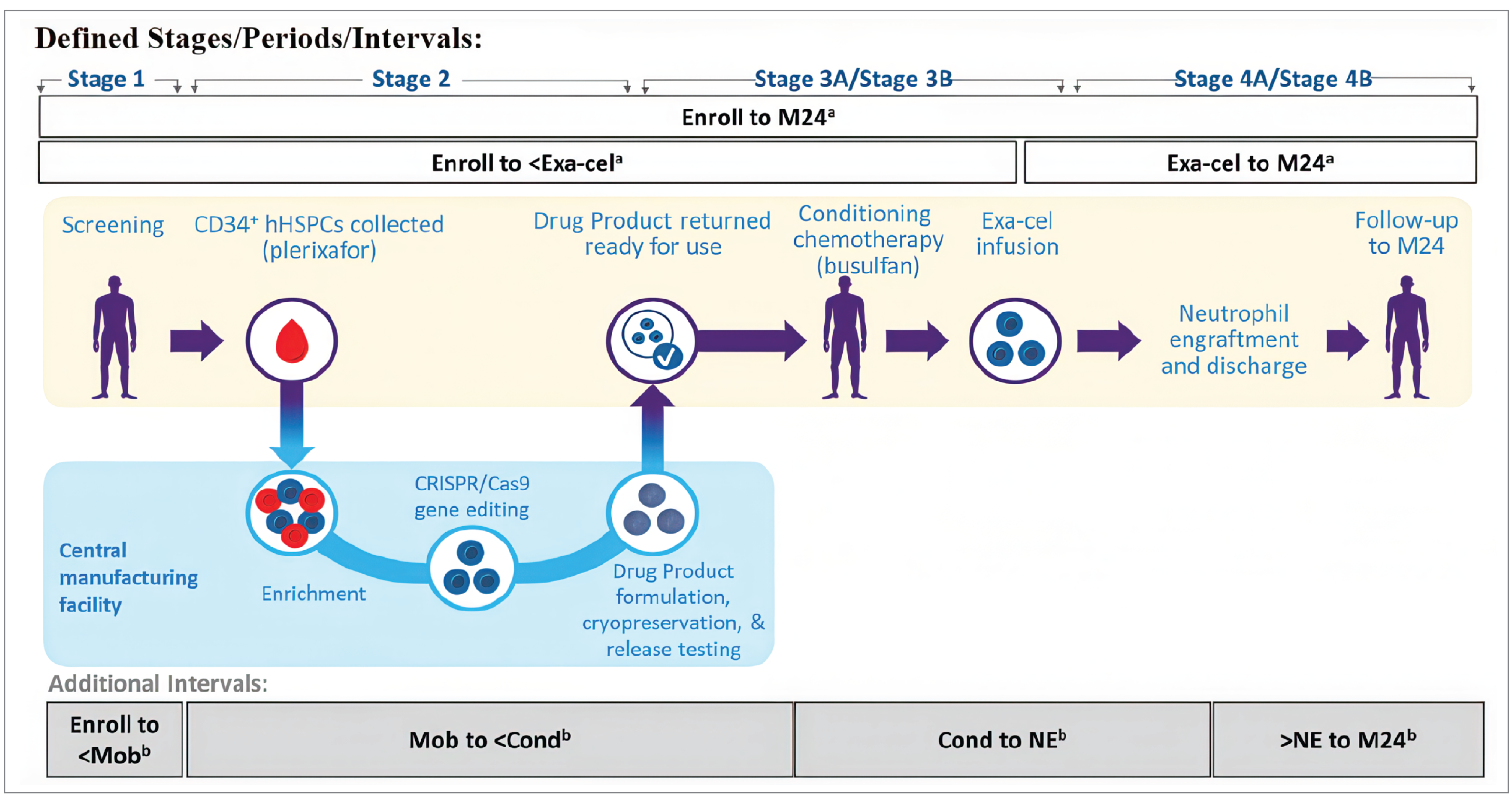 The study design for the CLIMB-121 study. After screening, patients underwent CD34+ mobilization and cell collection before entering the treatment phase with busulfan conditioning chemotherapy, which was followed by exagamglogene autotemcel infusion and cell engraftment.