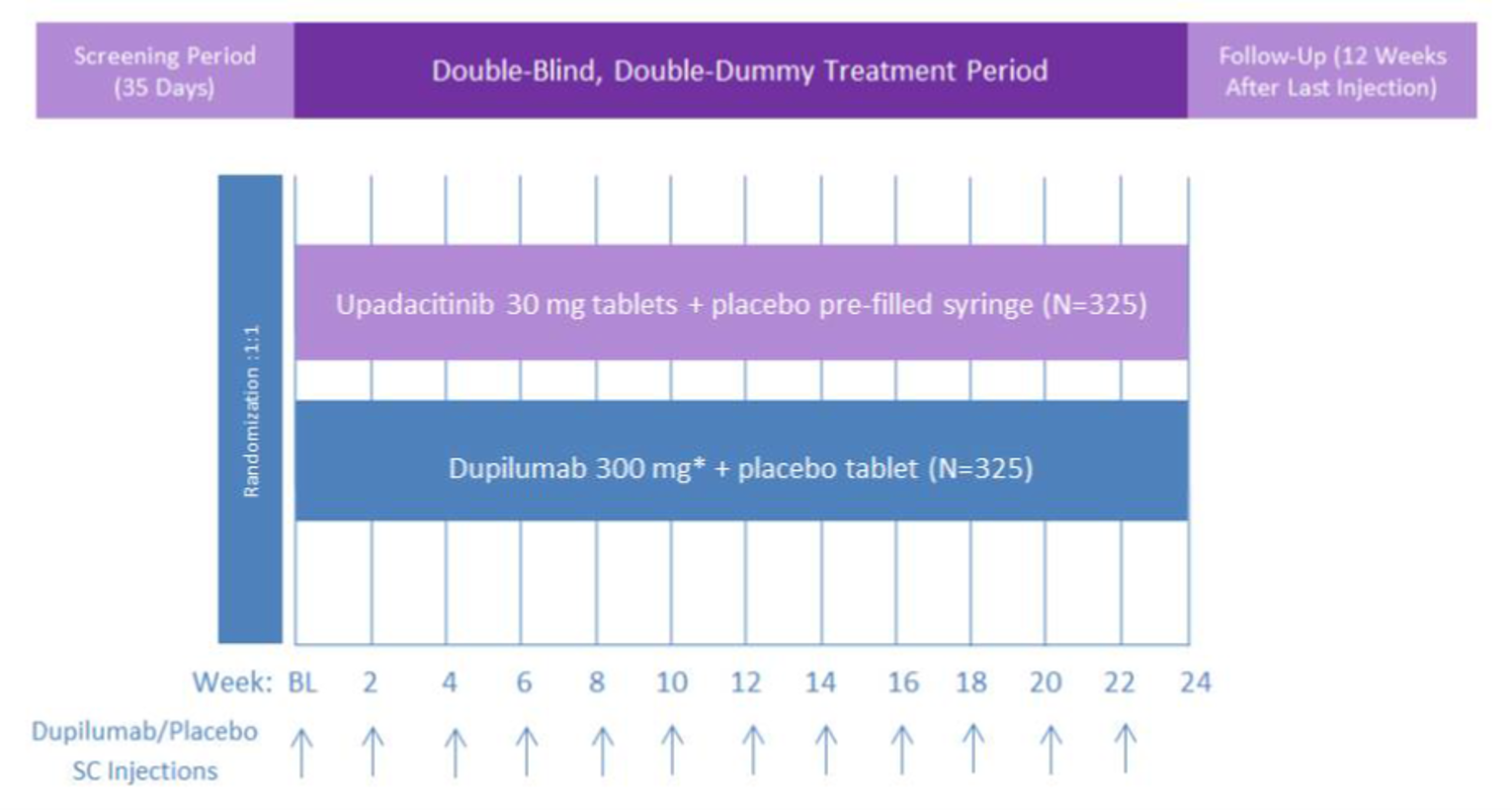 The figure depicts the Heads Up study starting with randomization after a screening period to upadacitinib 30 mg or dupilumab 300 mg during a double-dummy treatment period.