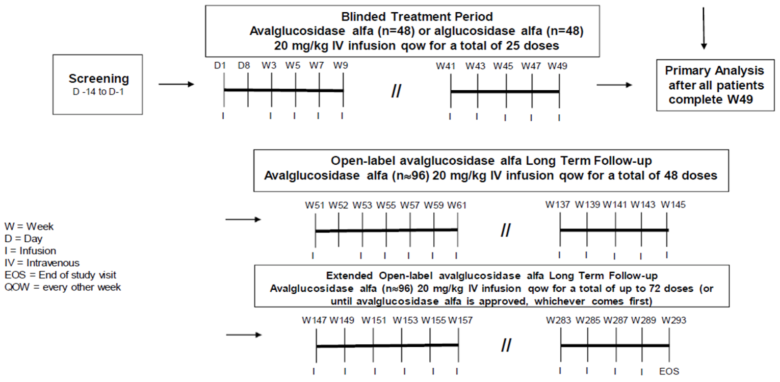The COMET trial consisted of a screening period of up to 14 days, a double-blind treatment period of 49 weeks, an open-label extension phase of up to 240 weeks, and follow-up for up to 4 weeks. Patients were randomized (1:1) to receive either avalglucosidase alfa or alglucosidase alfa 20 mg/kg IV infusion every other week in the double-blind phase (total of 25 doses). After week 49, patients who were receiving alglucosidase alfa were switched to avalglucosidase alfa in the open-label phase and for the remainder of their treatment (up to 120 doses).
