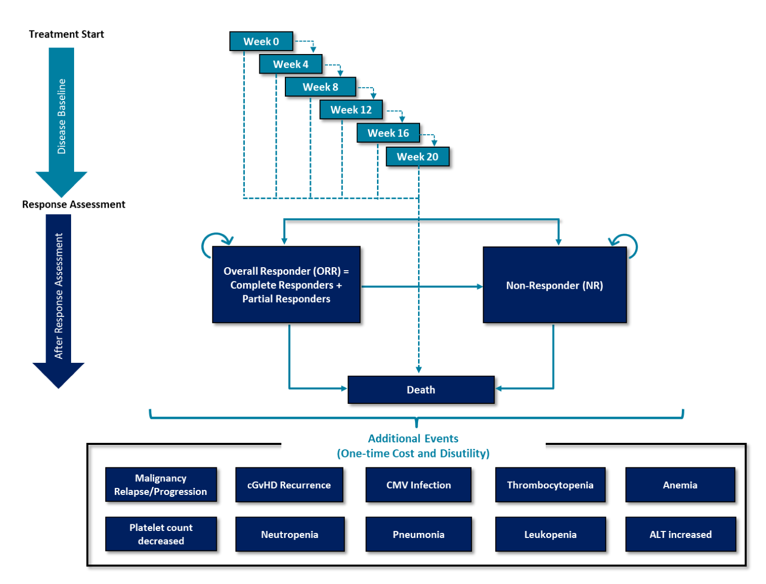 Diagram of the structure of the economic model, a semi-Markov model with 9 health states. All patients begin in the disease-baseline health state, which consists of 6 tunnel states that capture mortality and treatment discontinuation that occur before the response-assessment time point. After 24 weeks of treatment, patients are stratified into responder or nonresponder health states. In the subsequent model cycles, patients in the responder health state can maintain their initial response and remain in that state, lose their initial response and transition to the nonresponder health state, or transition to the death health state. Patients in the nonresponder state can either remain in that state or transition to death; transitions from the nonresponder state to the responder state are not possible.