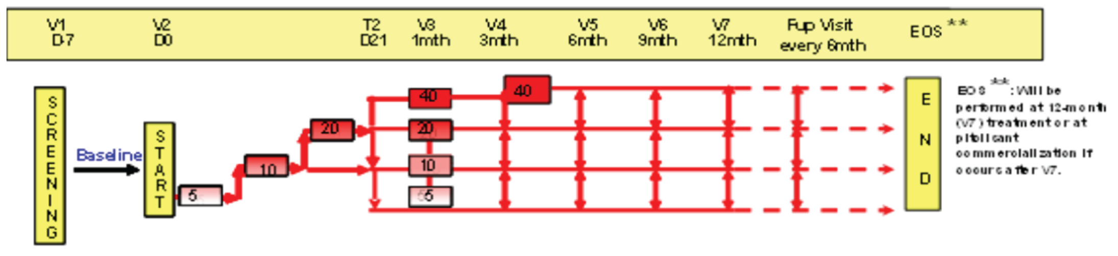 This is a flow chart of naive patients starting the study with a 1-month individual up-titration scheme, starting at 5 mg per day for 7 days, followed by 10 mg per day for 7 days. After 14 days, the dose could be increased to 20 mg per day. At 1 month, the daily dose could be adjusted again to 5 mg, 10 mg, 20 mg, or 40 mg. This dose remained stable for a 2-month period. For all patients, daily dose adjustments could occur again at the 3-month, 6-month, 9-month, and 12-month visits to 5 mg, 10 mg, 20 mg, or 40 mg.