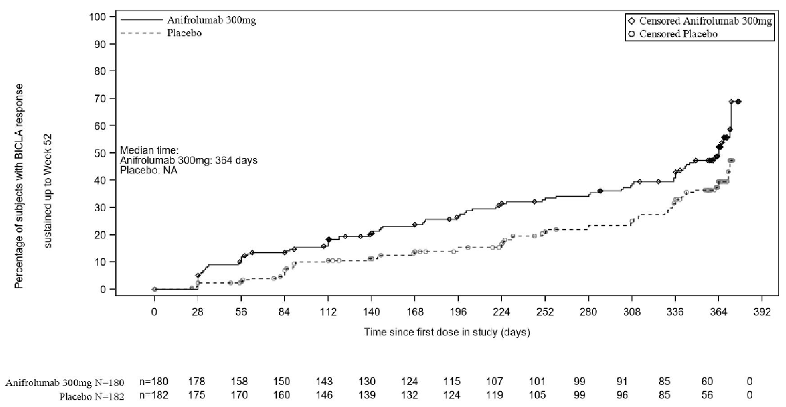 Figure 6 shows the Kaplan-Meier estimates of time to BICLA response in the ITT population of patients receiving anifrolumab 300mg and the placebo group. The total number of at-risk patients in the anifrolumab group at 0, 28, 56, 84, 112, 140, 168, 196, 224, 252, 280, 308, 336, 364, 392 days was 180, 178, 158, 150, 143, 130, 124, 115, 107, 101, 99, 91, 85, 60, and 0 respectively. The difference between groups was apparent as early as week 4 of the trial in favour of the anifrolumab 300mg treatment group.