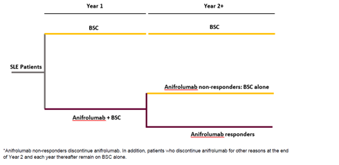 Patients either receive anifrolumab in addition to BSC or BSC alone at the start of the model. Patients who receive BSC alone in Year 1 maintain BSC in subsequent years. Patients who receive anifrolumab in addition to BSC may maintain anifrolumab in subsequent years if they respond to treatment in Year 1; if they do not respond to anifrolumab, patients stop anifrolumab and receive BSC alone.