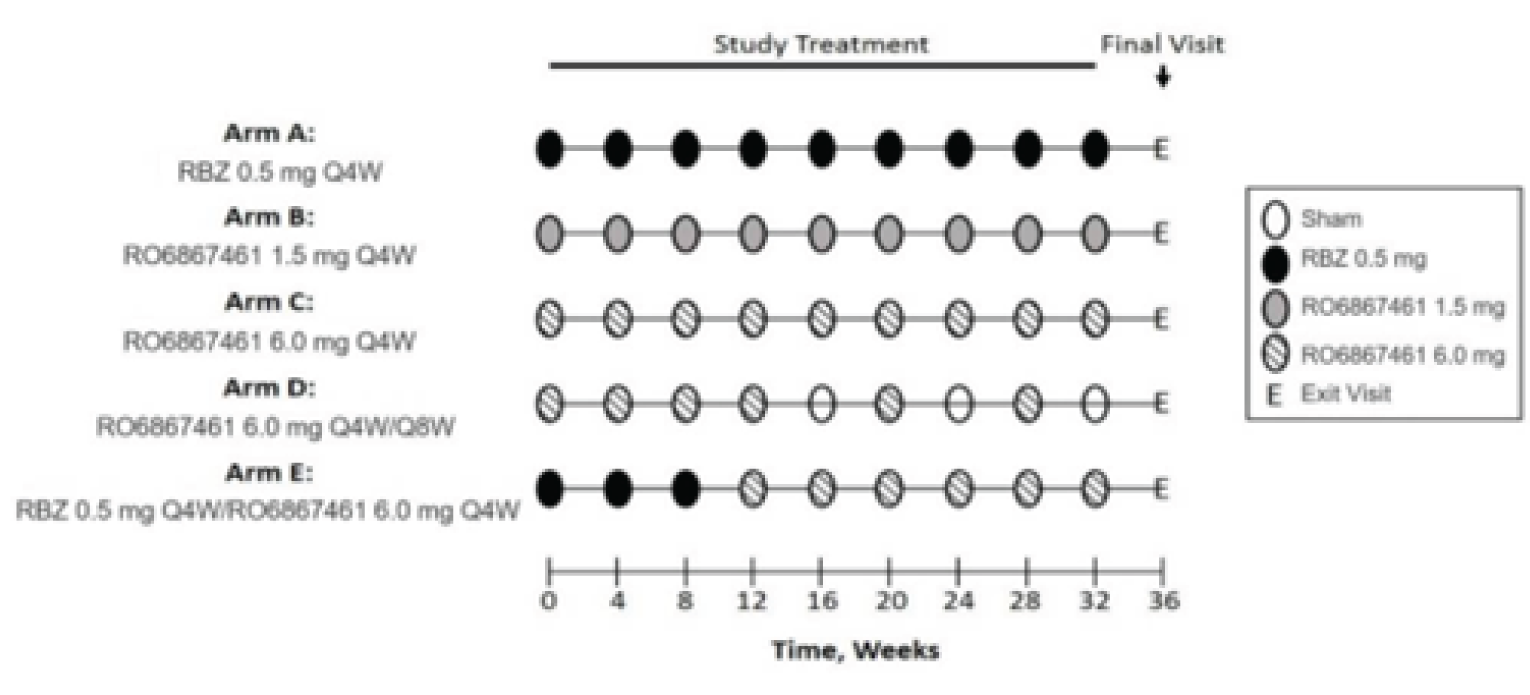 Following a 28-day screening period, patients were randomized to receive 0.5 mg ranibizumab IVT every 4 weeks for 32 weeks in arm A, or 1.5 mg faricimab IVT every 4 weeks for 32 weeks in arm B, or 6 mg faricimab IVT every 4 weeks for 32 weeks in arm C, or 6 mg faricimab IVT every 4 weeks up to week 12, followed by 6 mg faricimab IVT every 8 weeks in arm D, or 0.5 mg ranibizumab IVT every 4 weeks up to week 8, followed by 6 mg faricimab IVT every 4 weeks in arm E in a 36-week double-blind phase.