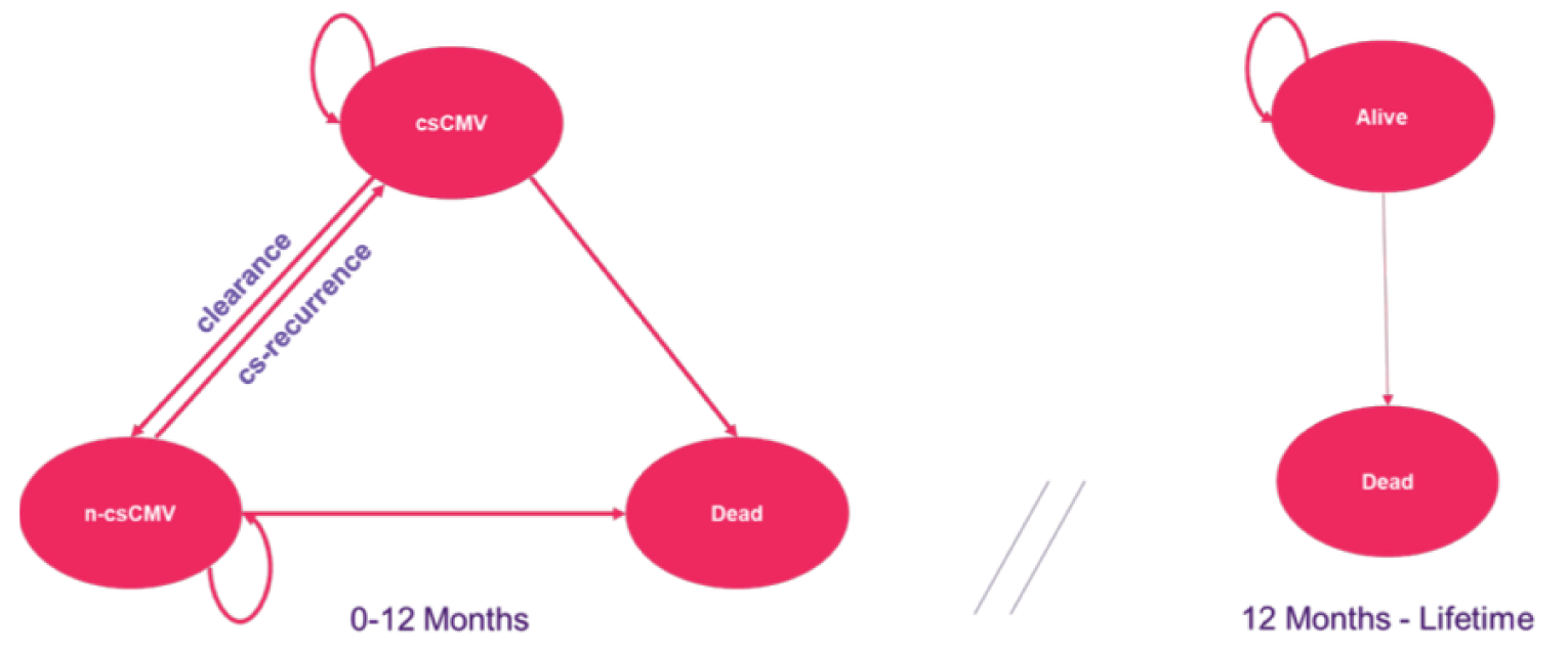 This diagram shows a state transition diagram divided into two sections. In the first section, which represents state transitions from 0-12 months, the diagram shows transitions between three health states: clinically significant CMV, non-clinically significant CMV, and dead. In the second section, which shows state transitions from 12 months on, the diagram shows two health states: Alive and Dead.