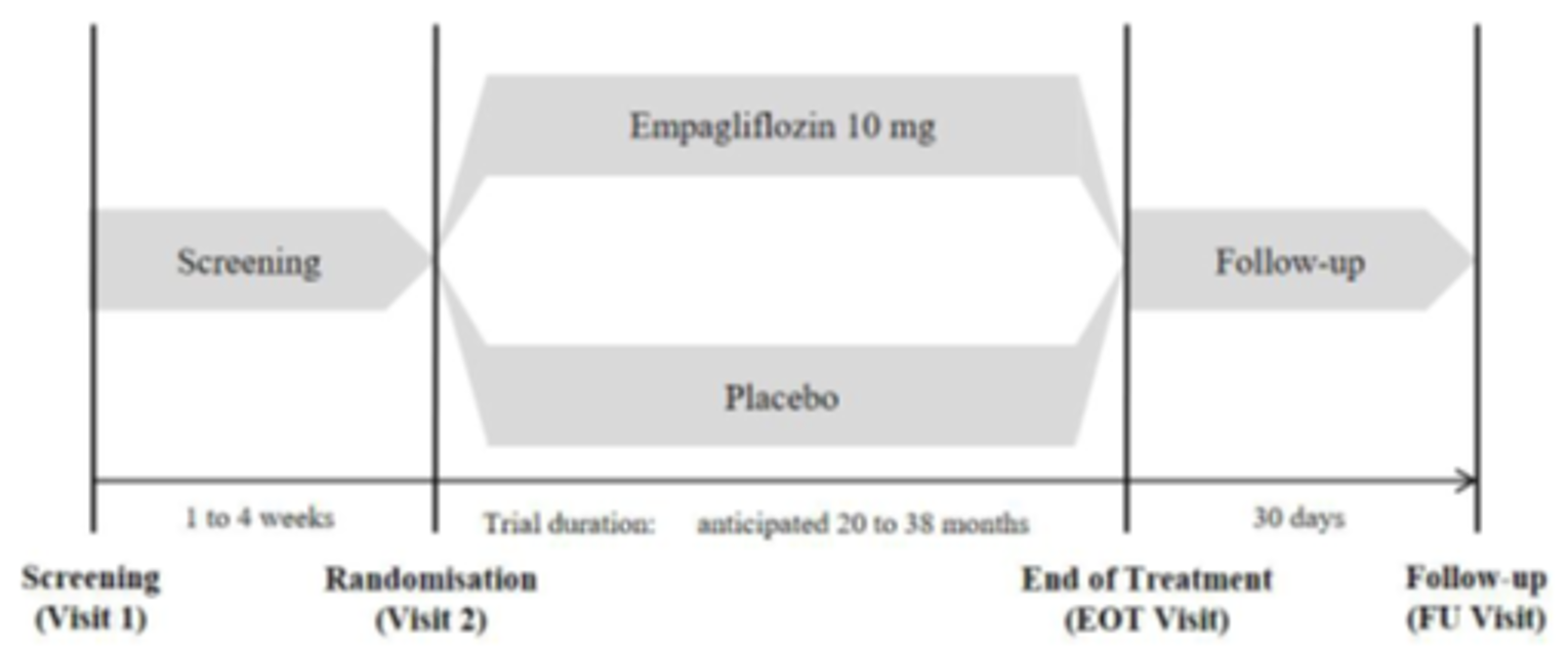 After a screening period of 4 to 28 days, patients were randomized in a 1:1 ratio to receive either empagliflozin at 10 mg once daily or matching placebo in a double-blind manner. In EMPEROR-Reduced, the randomization of patients was stratified by geographical region, history of diabetes, and eGFR at screening. In EMPEROR-Preserved, the randomization of patients was stratified by geographical region, history of diabetes, left ventricular ejection fraction, and eGFR at screening. These were event-driven trials. End of treatment in both trials was defined as reaching the required number of primary end points (841 events), or when the patient permanently discontinued study medication, followed by a follow-up period of up to 30 days.