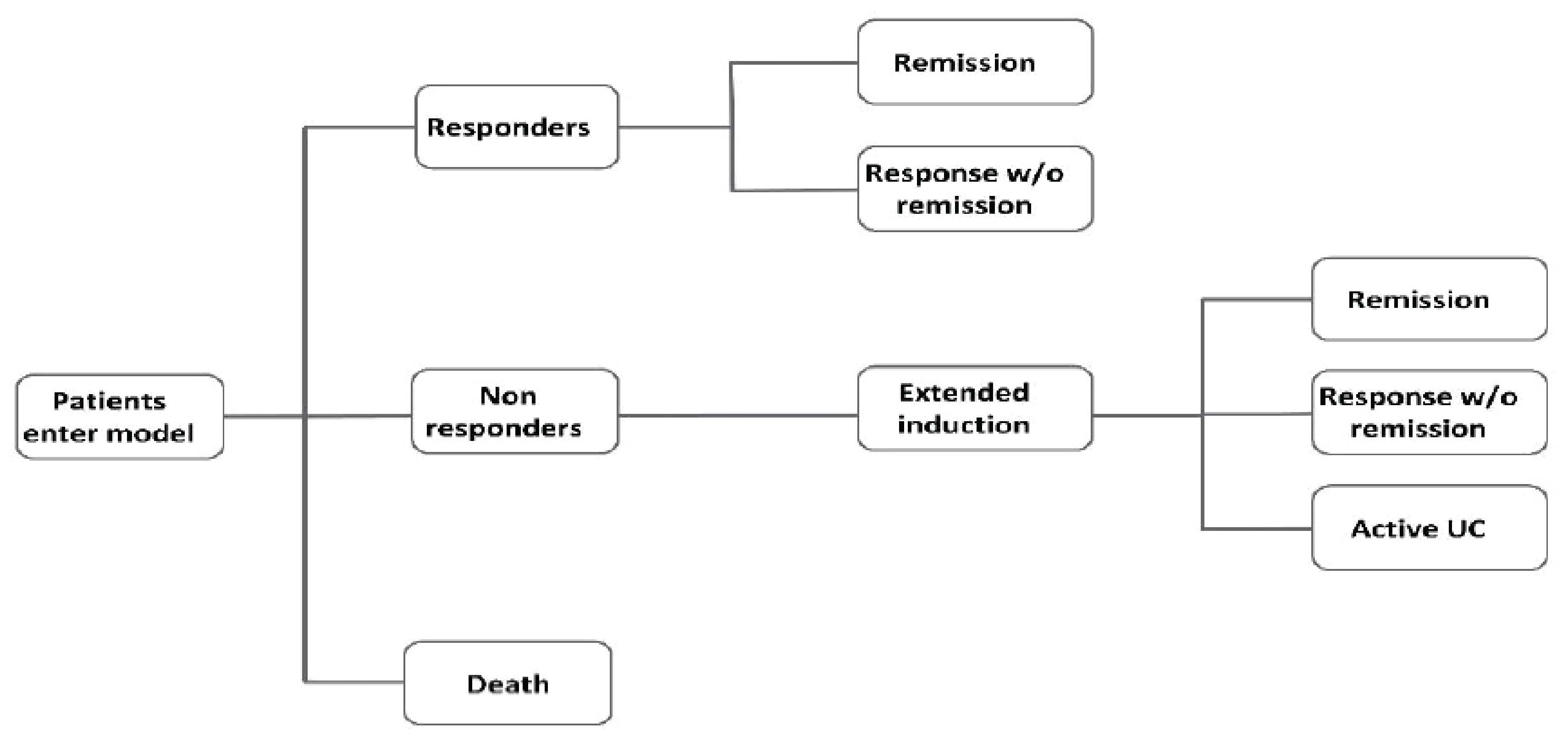 The induction phase of the sponsor's model consisted of a decision tree structure. Patients entered the model in the induction phase with active UC and initiated treatment and could experience 1 of the following outcomes: remission, response without remission, or remain with active ulcerative colitis. The decision tree also included an extended induction option, as well as an absorbing death state.