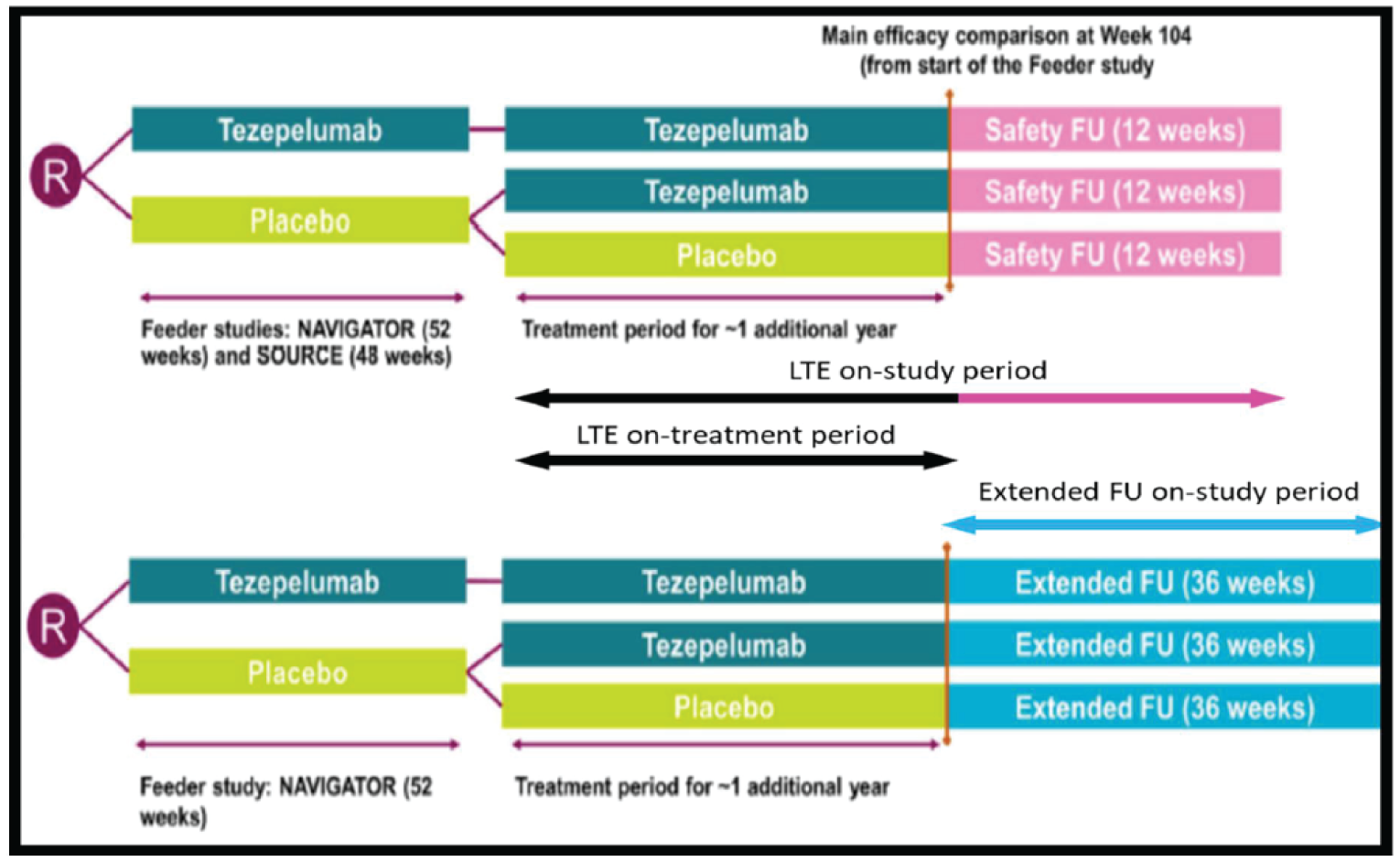 Patients were eligible to enter the LTE after completing the 52-week NAVIGATOR or 48-week SOURCE studies. Patients who received tezepelumab in either NAVIGATOR or SOURCE trials continued on tezepelumab during the LTE period. Patients who received placebo in either the NAVIGATOR or SOURCE study were re-randomized to either tezepelumab or placebo. The LTE study consisted of a 1-year treatment period, followed by a 12-week safety follow-up. Some patients who entered the LTE from the NAVIGATOR study were also eligible for an extended follow-up of 36 weeks after completion of the treatment period.