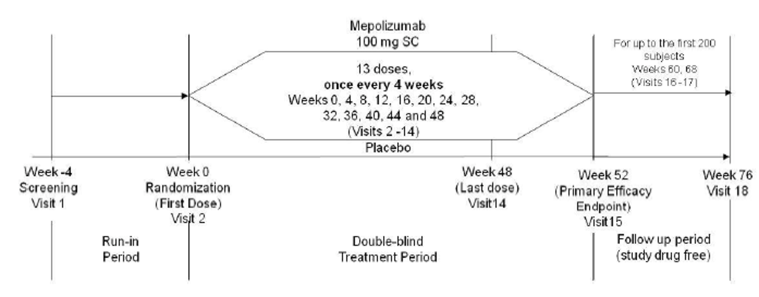 After a 4-week run-in period, patients were randomized to receive subcutaneous mepolizumab 100 mg/mL or matching placebo in addition to standard of care in a double-blinded manner during a 52-week treatment period, for a total of 13 doses. The final dose of the study treatment was administered at week 48. Key efficacy end points were assessed at week 52. The first 200 patients randomized into the study also entered a 6-month no-treatment follow-up period following their week 52 visit to assess maintenance of response. The final visit for the no-treatment follow-up period occurred on week 76.