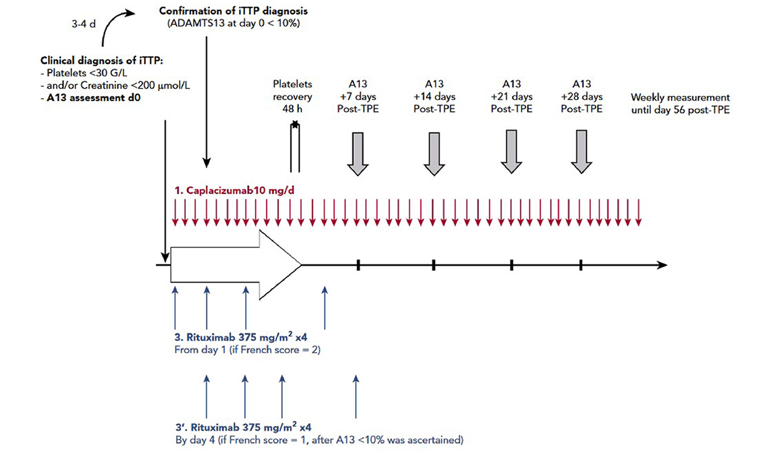 Daily therapeutic plasma exchange, corticosteroids, and caplacizumab were started as soon as the clinical diagnosis of immune-mediated thrombotic thrombocytopenic purpura was suspected based on the French score. Rituximab (375 mg per square metre) was administered intravenously on a day 1, day 4, day 8, and day 15. It could be started from day 1 if the French score was highly suggestive for the diagnosis of immune-mediated thrombotic thrombocytopenic purpura (French score = 2) or alternatively by day 4 of the management once severe ADAMTS13 deficiency was ascertained (French score = 1). Caplacizumab was continued for 30 days after therapeutic plasma exchange cessation and could be extended until ADAMTS13 improvement (i.e., activity ≥ 20%). Therapeutic plasma exchange were performed daily until 2 days of a normal platelet count and interrupted with no maintenance.