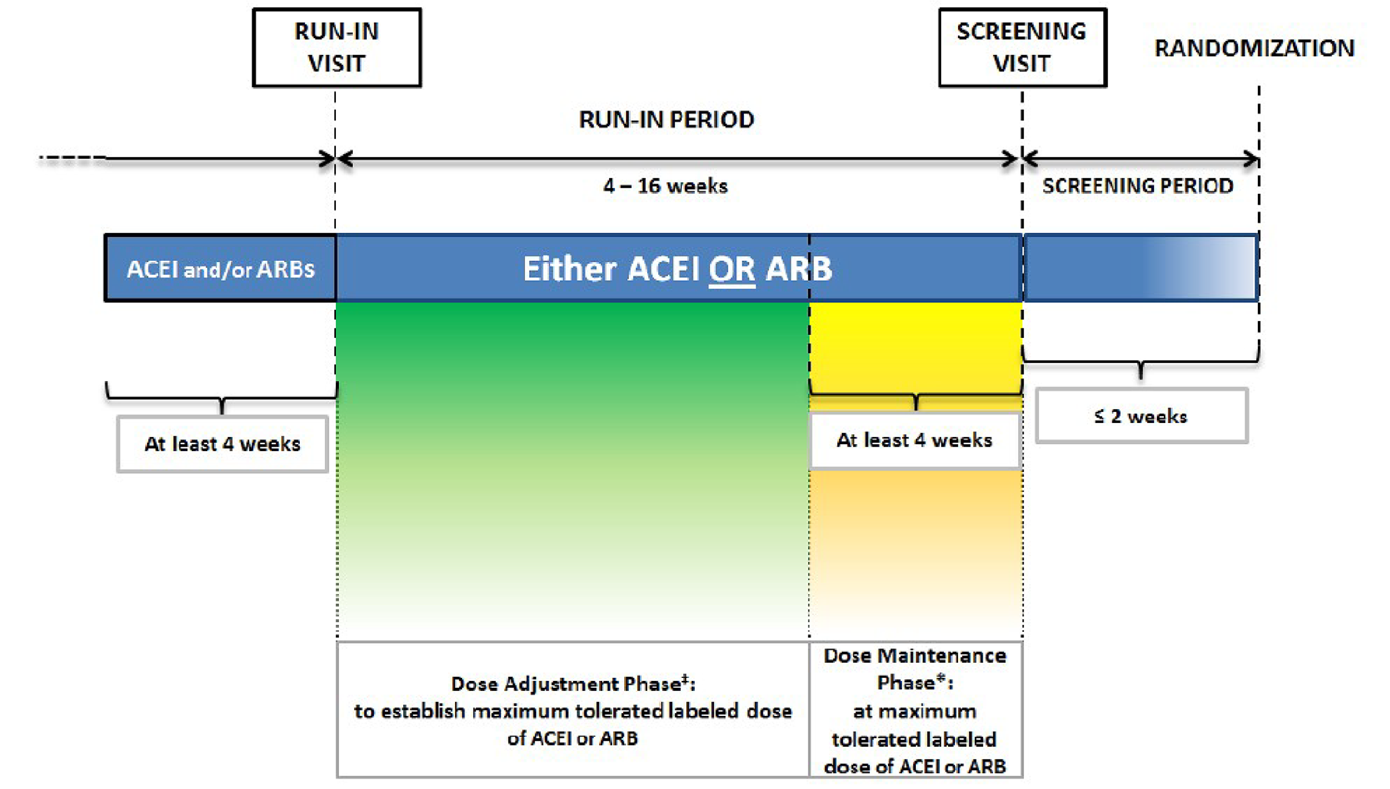 For at least 4 weeks before the run-in visit, all patients must be treated with either an ACE inhibitor or an ARB, or both. Starting with the run-in visit, patients should be treated with only an ACE inhibitor or an ARB. For at least 4 weeks before the screening visit, patients should be treated with the maximum tolerated labelled dose of only an ACE inhibitor or an ARB.