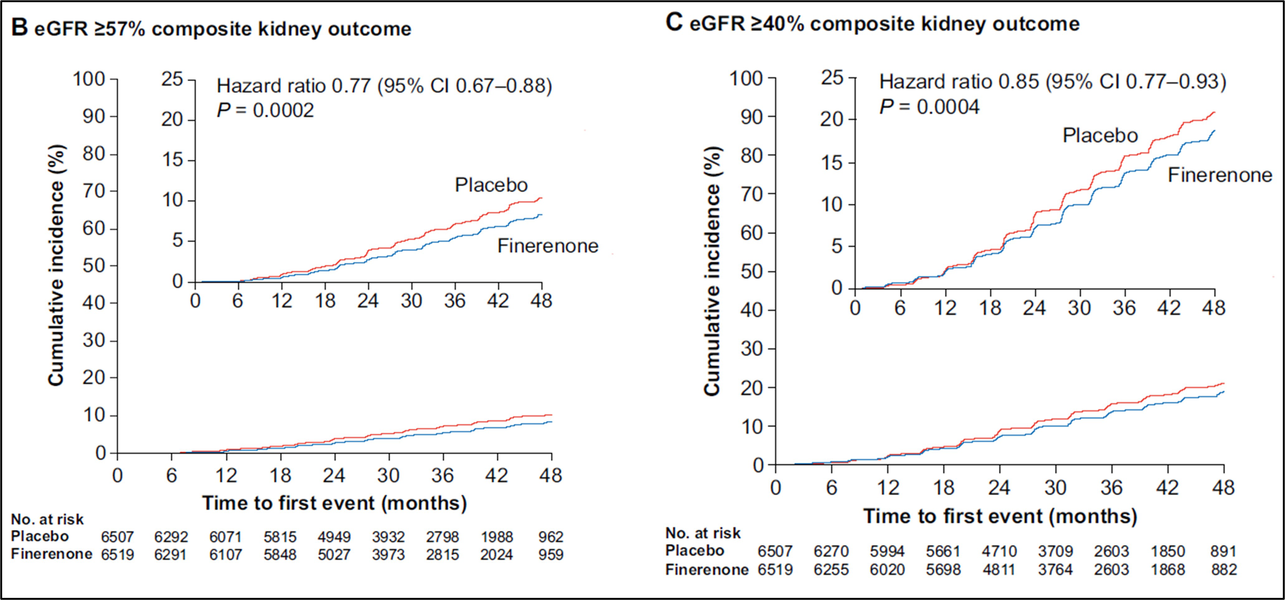 In these Aalen-Johansen curves of time to the 57% and 40% composite renal outcomes, the curves representing patients who received finerenone and placebo follow a similar upward slope, with the curves separating after month 12 and with the finerenone curve falling below the placebo curve until month 48.