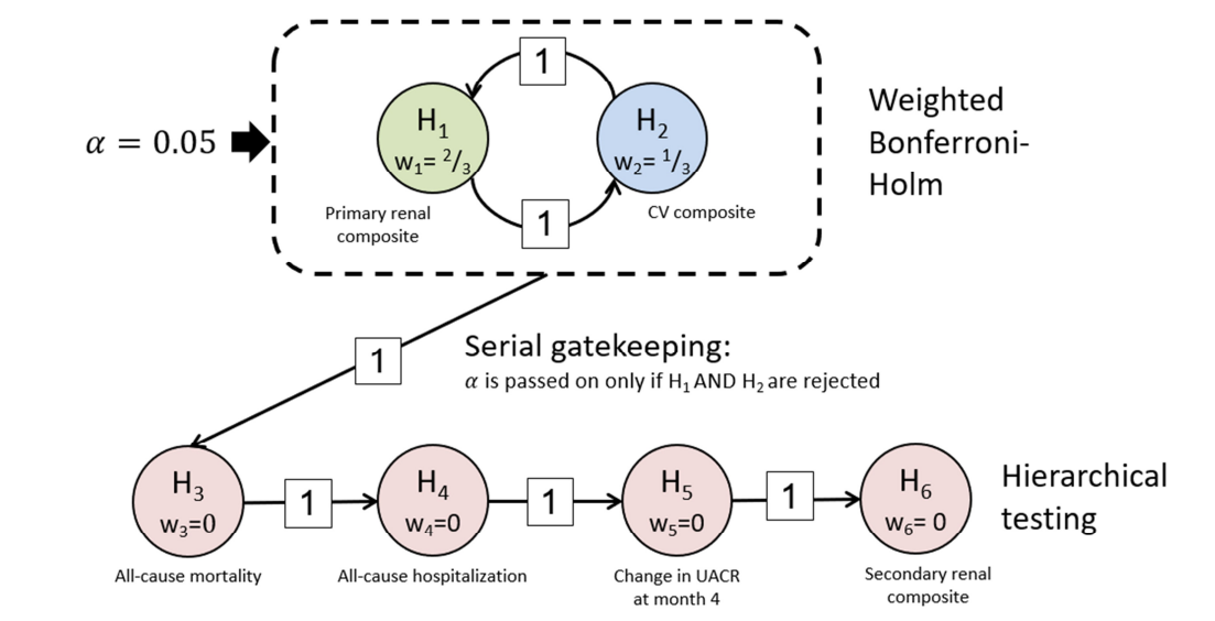 This figure summarizes the hierarchical testing strategy in the FIDELIO study. To account for multiplicity, a weighted Bonferroni-Holm procedure was used for the primary and key secondary end points, followed by hierarchical testing of the remaining efficacy end points at the adjusted 2-sided significance level of 0.5. If the testing strategy stopped at one point due to a nonsignificant result, the remaining secondary efficacy variables were tested in an exploratory manner.