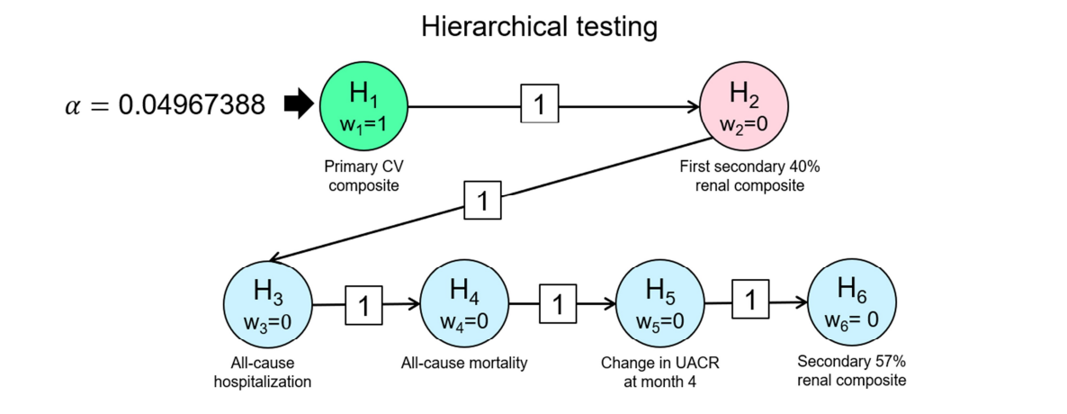 This figure summarizes the hierarchical testing strategy in the FIDELIO study. To account for multiplicity, hierarchical testing of the efficacy end points at the adjusted 2-sided significance level of 0.04967388 was performed. If the testing strategy stopped at one point due to a nonsignificant result, the remaining secondary efficacy variables were tested in an exploratory manner.