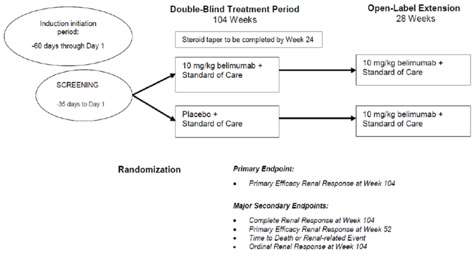 An overview of study design and key features of the BLISS-LN trial including the screening period (up to 35 days), induction period (up to 60 days), double-blind treatment period (104 weeks), and open-label extension period (28 weeks). Includes a list of the primary outcomes (PERR at week 104) and key secondary outcomes (CRR at week 104, PERR at week 52, time to death or renal-related event, ORR at week 104).