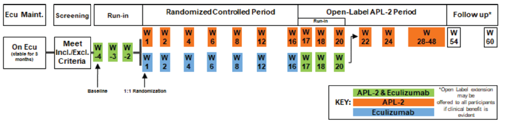 The study consisted of 5 periods: screening, run-in, randomized controlled, open-label pegcetacoplan, and follow-up. After the screening period, patients entered the run-in period, during which eculizumab and pegcetacoplan were given concurrently for 4 weeks. This was followed by the randomized controlled period, during which patients were randomized to receive either pegcetacoplan or eculizumab monotherapy for 16 weeks. Patients then entered the open-label pegcetacoplan period for 32 weeks, receiving pegcetacoplan monotherapy only. Patients who transitioned from the eculizumab arm first underwent a run-in period with the concurrent use of eculizumab and pegcetacoplan for 4 weeks before reciving pegcetacoplan only for the remainder of the open-label pegcetacoplan period. Patients then either entered the 12-week follow-up period or were enrolled into an open-label extension study.