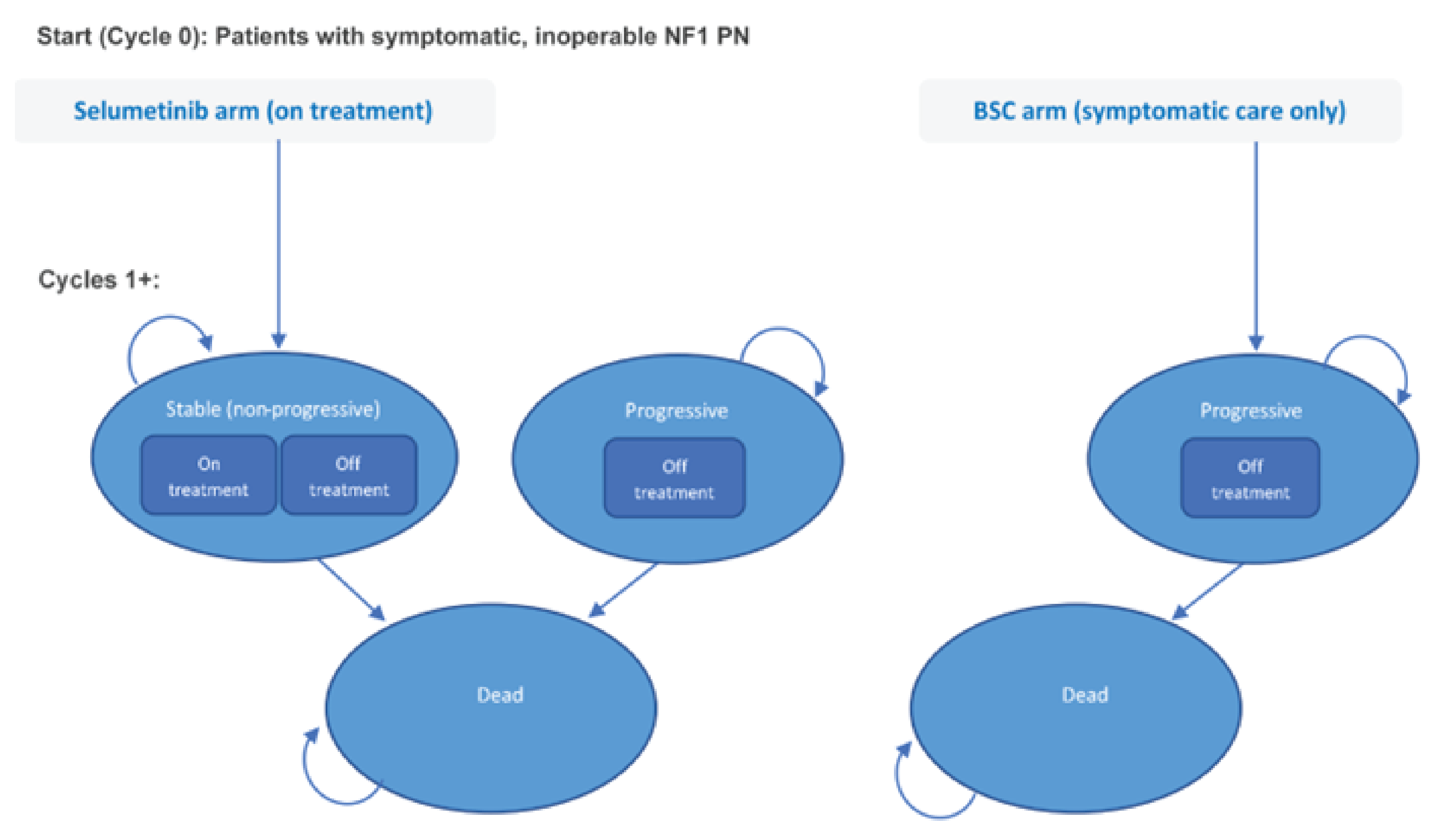 A diagram of a decision model. The model has two parts. The first part is labelled “Selumetinib arm (on treatment).” This part has 3 states, represented by ovals: “Stable (non-progressive),” “Progressive,” and “Dead.” The “Stable (non-progressive”) state has substates labelled “On treatment” and “Off treatment.” The “Progressive” state has a substate labelled “Off treatment.” Arrows connect the “Stable” and “Progressive” states to the “Dead” state. The second part is labelled “BSC arm (symptomatic care only).” This part has 2 states: “Progressive” and “Dead.” The “Progressive” state has a substate labelled “Off treatment.” An arrow connects the “Progressive” state to the “Dead” state.