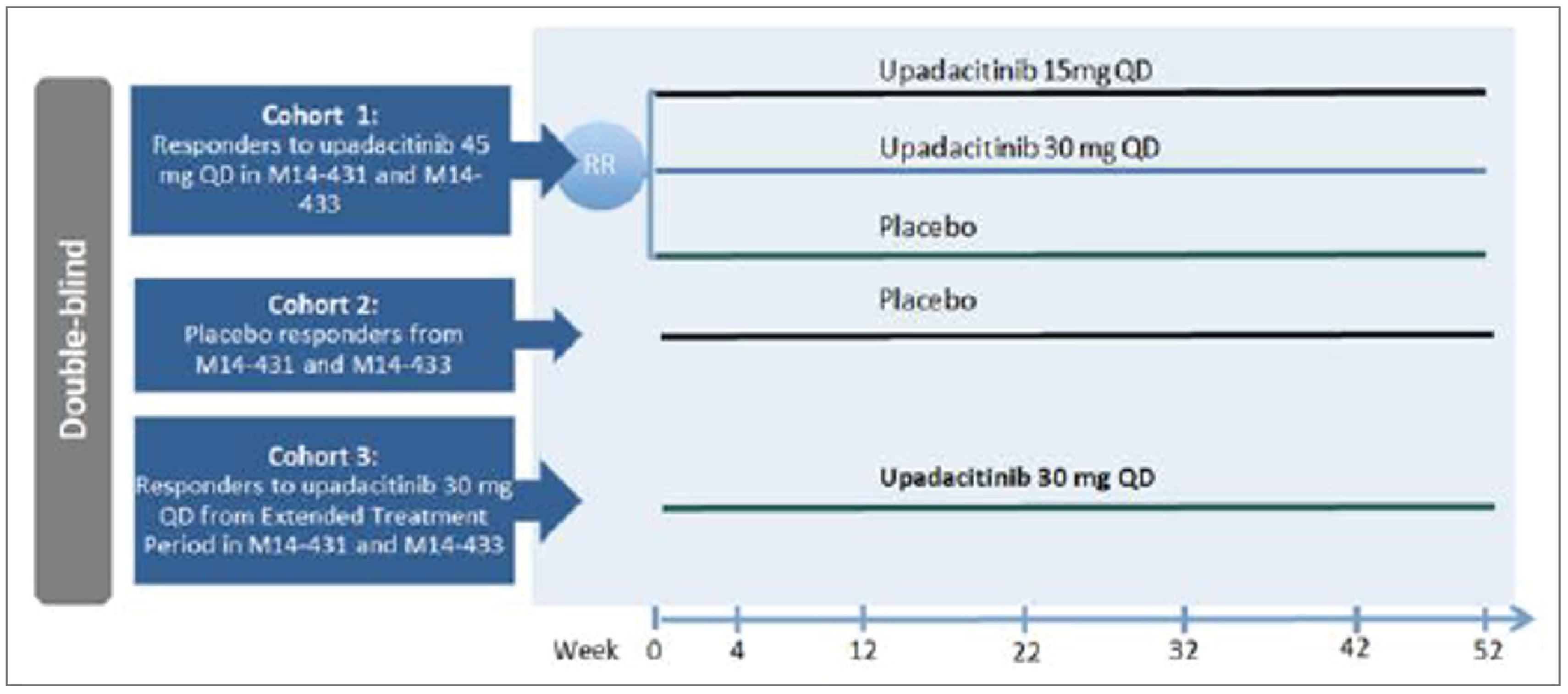 A flow diagram depicting the design of the 52-week U-ENDURE study. Cohort 1 included patients who were responders to upadacitinib 45 mg once daily in either of the 2 induction studies M14 to 431 (U-EXCEED) and M14 to 433 (U-EXCEL); these patients were re-randomized to upadacitinib 15 mg or 30 mg once daily or placebo in a 1:1:1 ratio. Cohort 2 included patients who had received placebo in either of the induction studies and had responded; these patients continued to receive placebo. Cohort 3 included patients who had not achieved clinical response after the 12-week induction period with upadacitinib 45 mg, but thereafter received 12-week extended induction treatment with upadacitinib 30 mg and achieved a clinical response in either induction study; these patients continued to receive upadacitinib 30 mg in the U-ENDURE trial.