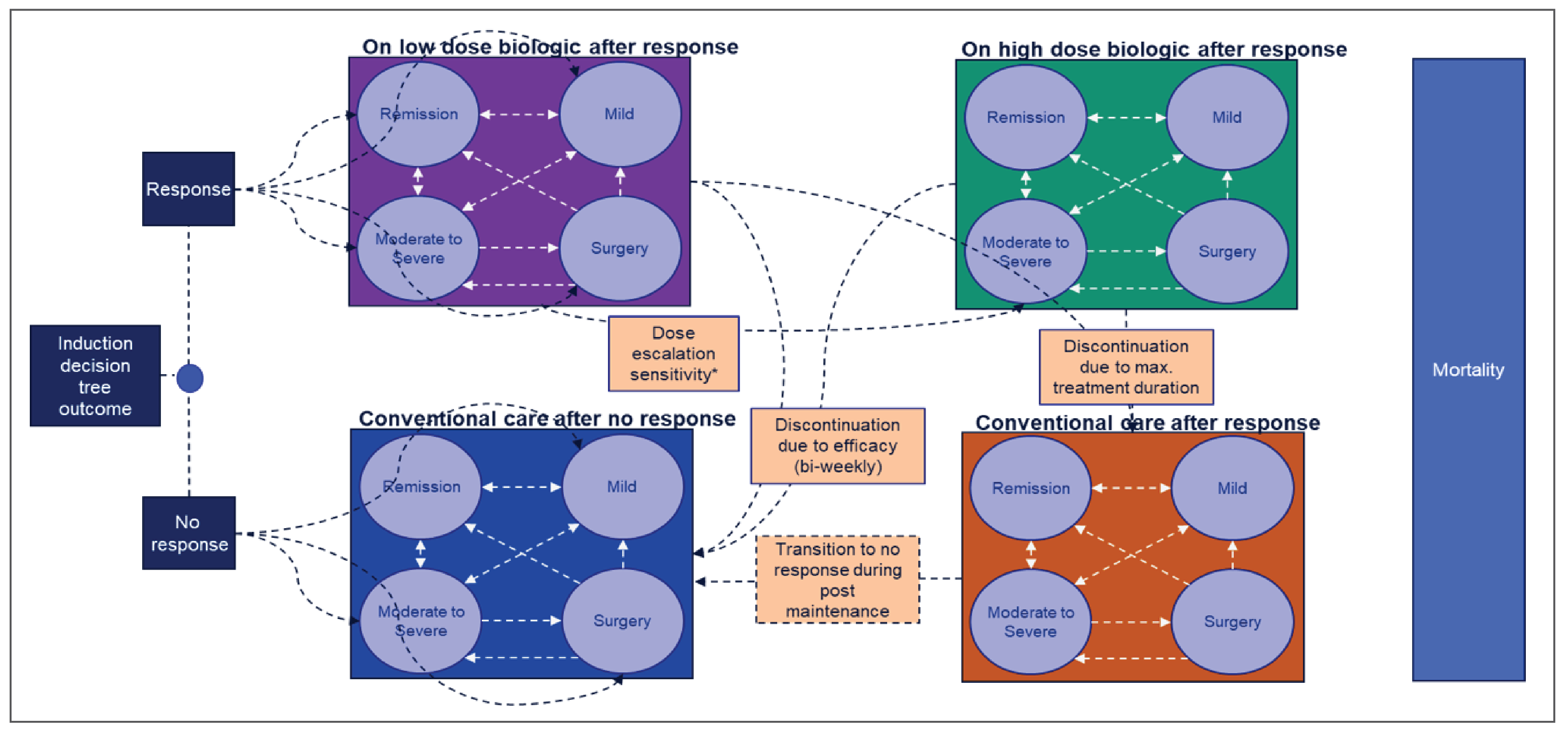 A Markov model with 4 main health states: moderate to severe CD, mild CD, remission, and surgery. Each of these 4 health states is repeated for 4 matrices: on low-dose biologics after response, on high dose biologics after response,conventional care after no response, and conventional care after response. Patients who experienced a treatment response during the induction period enter the Markov model in one of the health states within the on low-dose after response matrix, while patients who had no response during the induction period enter the Markov model in one of the health states within the conventional care after no response matrix. In each cycle, patients can then transition from the on low-dose after response matrix to any of the other matrices. Patients in the conventional care after no response matrix cannot transition to another matrix. Patients in the on high dose biologics after response, can transition to either conventional care matrix. Patients in the conventional care after response matrix can only transition to the conventional care after no response matrix. Patients can move to the dead state at any time from any other health state.