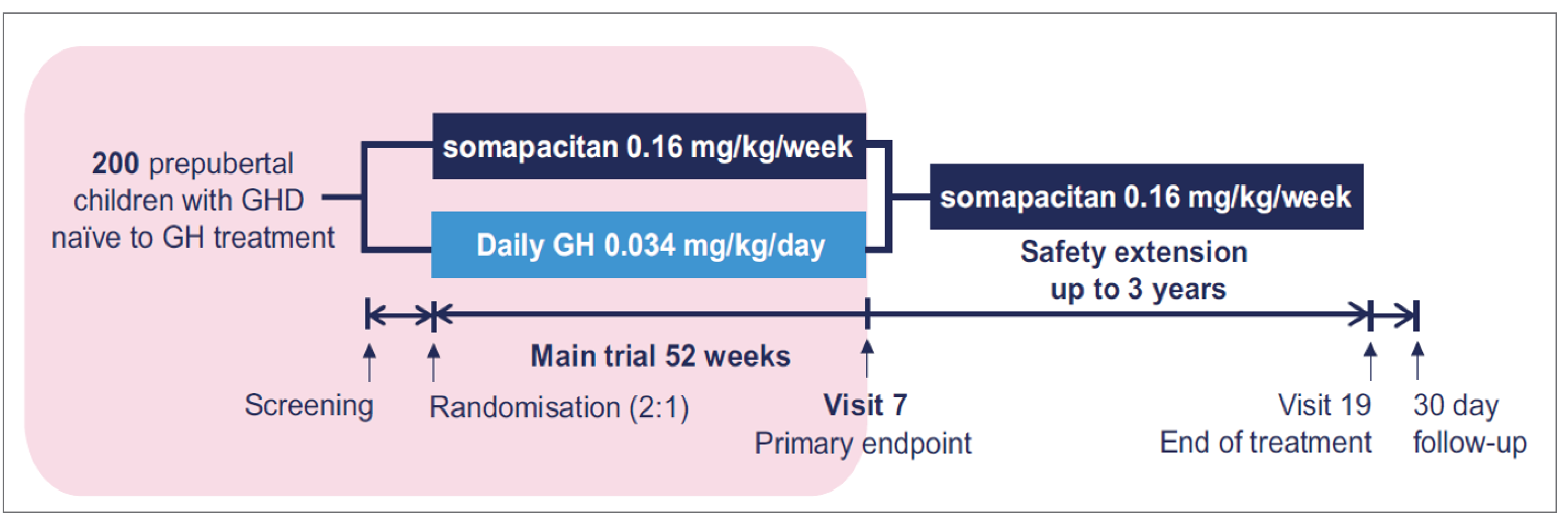 Describes the flow of patients through the REAL 4 trial, from screening to randomization, to the primary end point (visit 7) after a 52-week main trial period comparing somapacitan 0.16 mg/kg/week versus daily GH among the 200 prepubertal, GH treatment-naive children with GHD, and to end of treatment (visit 19) with a 30-day follow-up. All patients received somapacitan in a safety extension period of up to 3 years between visit 7 and visit 19.