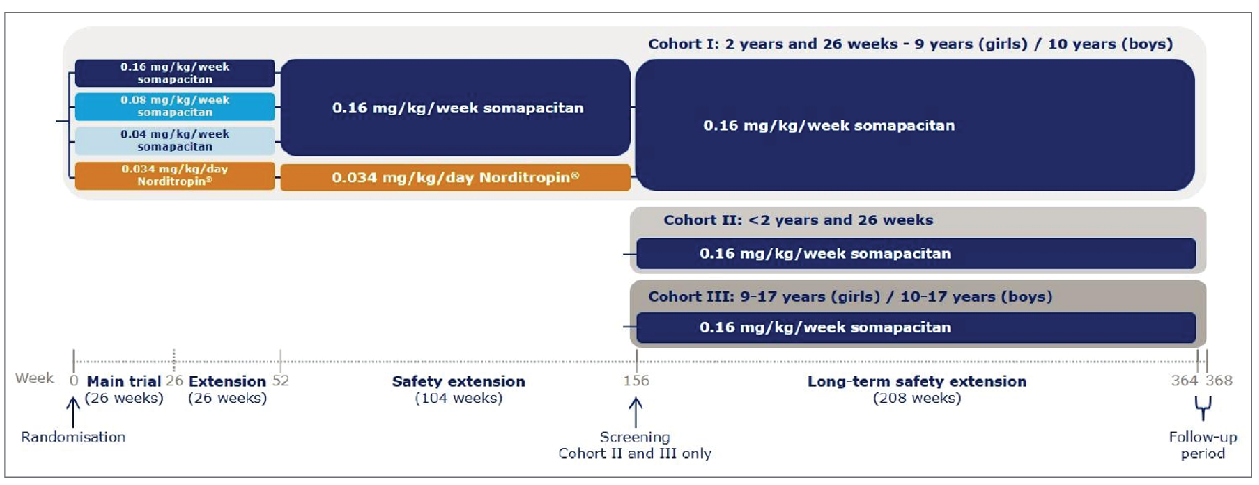 A figure describes the flow of patients through the REAL 3 trial, from randomization (visit 0) to randomization to a dose-finding, 4 treatment groups (26 weeks of main trial period and a subsequent 26 weeks of extension period), to a 104-week safety extension period with 2 group treatment groups comparing 0.16 mg/kg/week somapacitan versus Norditropin (somatropin) and to an additional long-term safety extension period enrolling more patients who were younger than 2.5 years and older than 9 or 10 years.