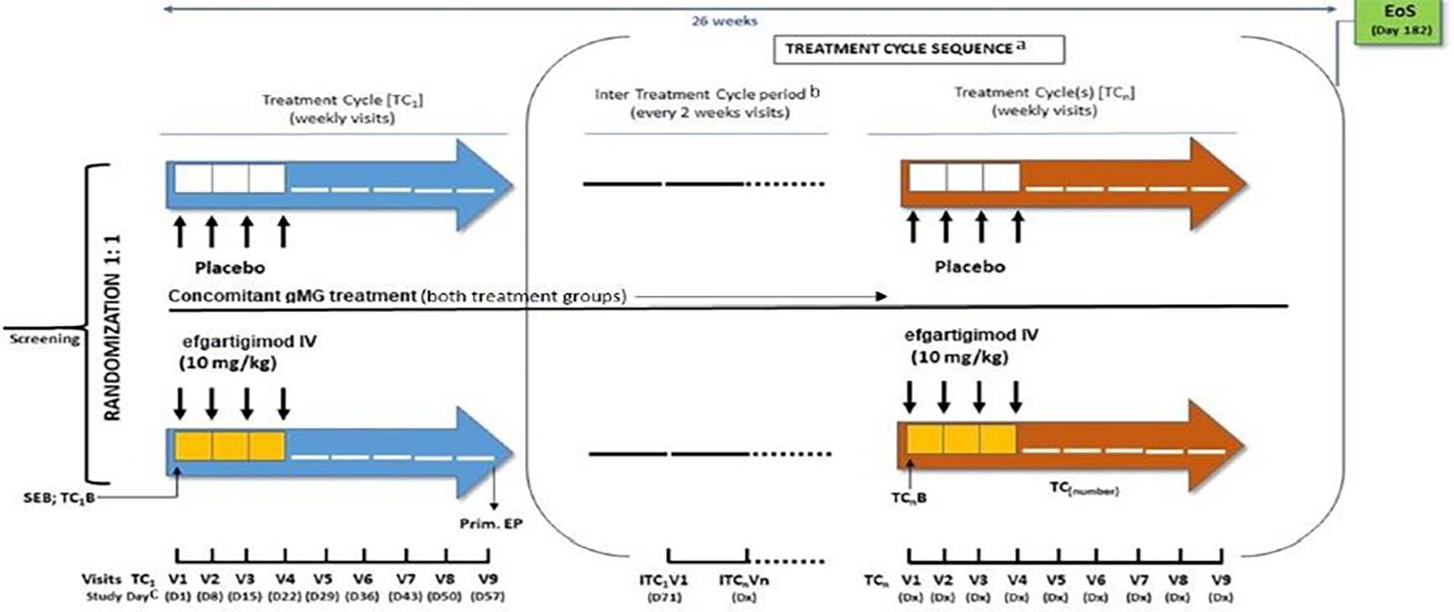 The ADAPT study included 3 sequential phases: screening, treatment cycle 1, and an intertreatment cycle and variable re-treatment cycles. End of study was day 182 (week 26).