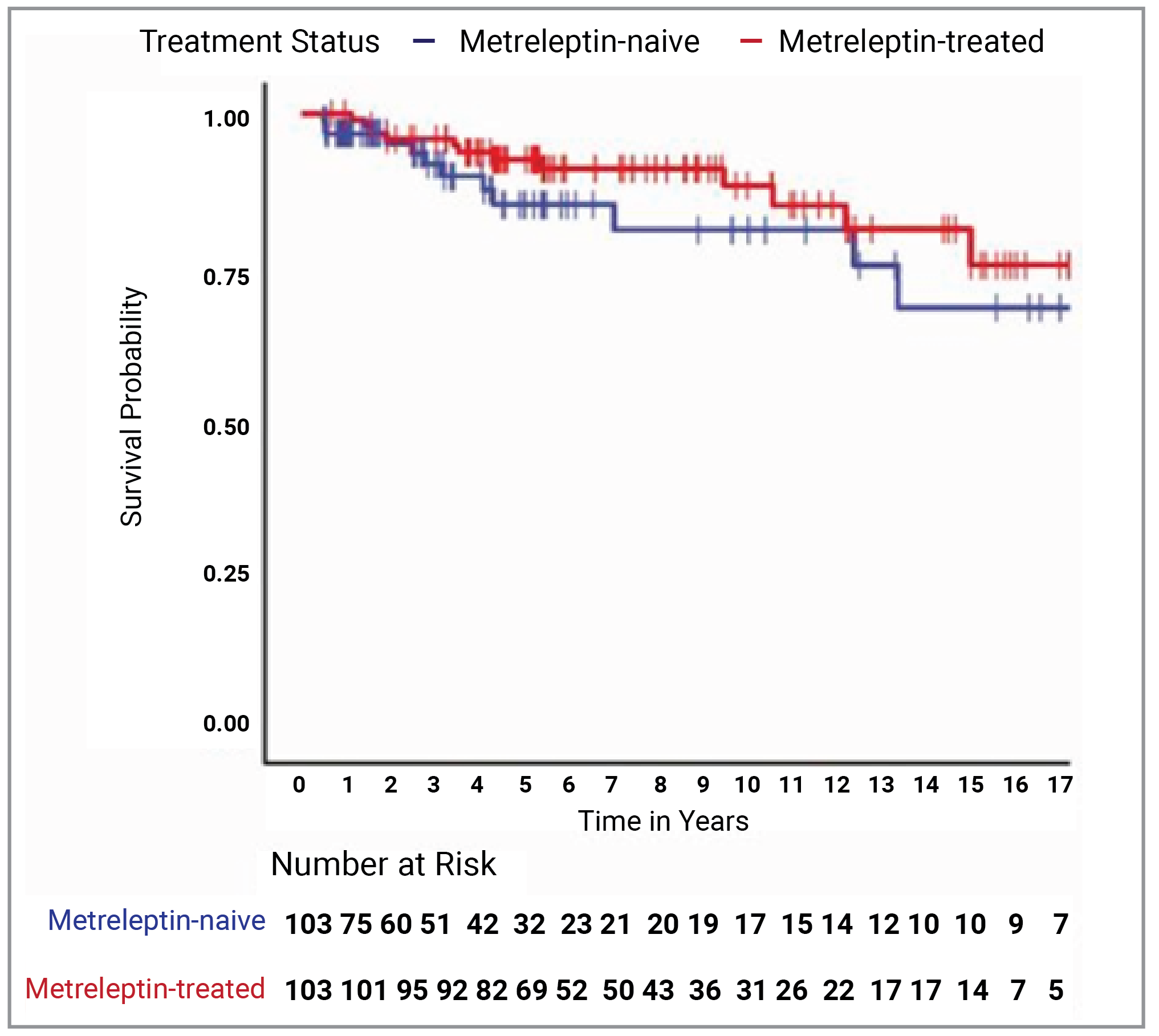 The figure shows the Kaplan-Meier curve for the survival probability from year 0 to year 17 for patients with no experience with metreleptin treatment and patients who received metreleptin treatment from year 0 to year 15. Both red and blue lines start at 1.00 on the survival probability axis and 0 on the time in years axis. The red line, signifying the metreleptin-treated cohort, slopes down to approximately 0.8 over the 15 years shown on the x-axis. The blue line, signifying the metreleptin-naive cohort, slopes down to approximately 0.70 over the 15 years shown on the x-axis.