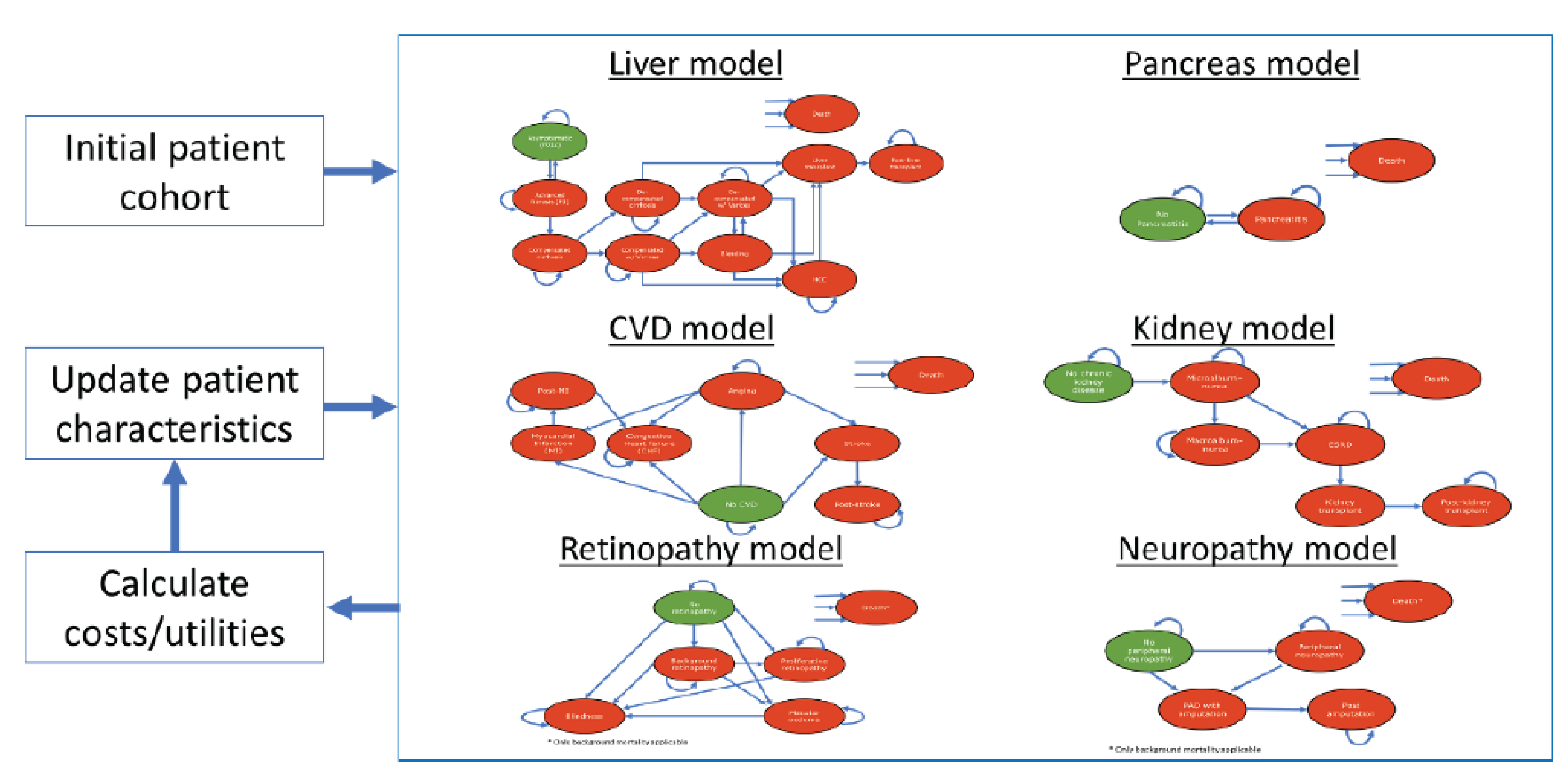 This figure describes the model at a high level. The initial patient cohort may transition through any of 6 submodels (Liver, Pancreas, Cardiovascular Disease, Kidney, Retinopathy, Neuropathy). The outputs of these models are used to calculate costs and utilities. Patient characteristics are updated and the process repeats.