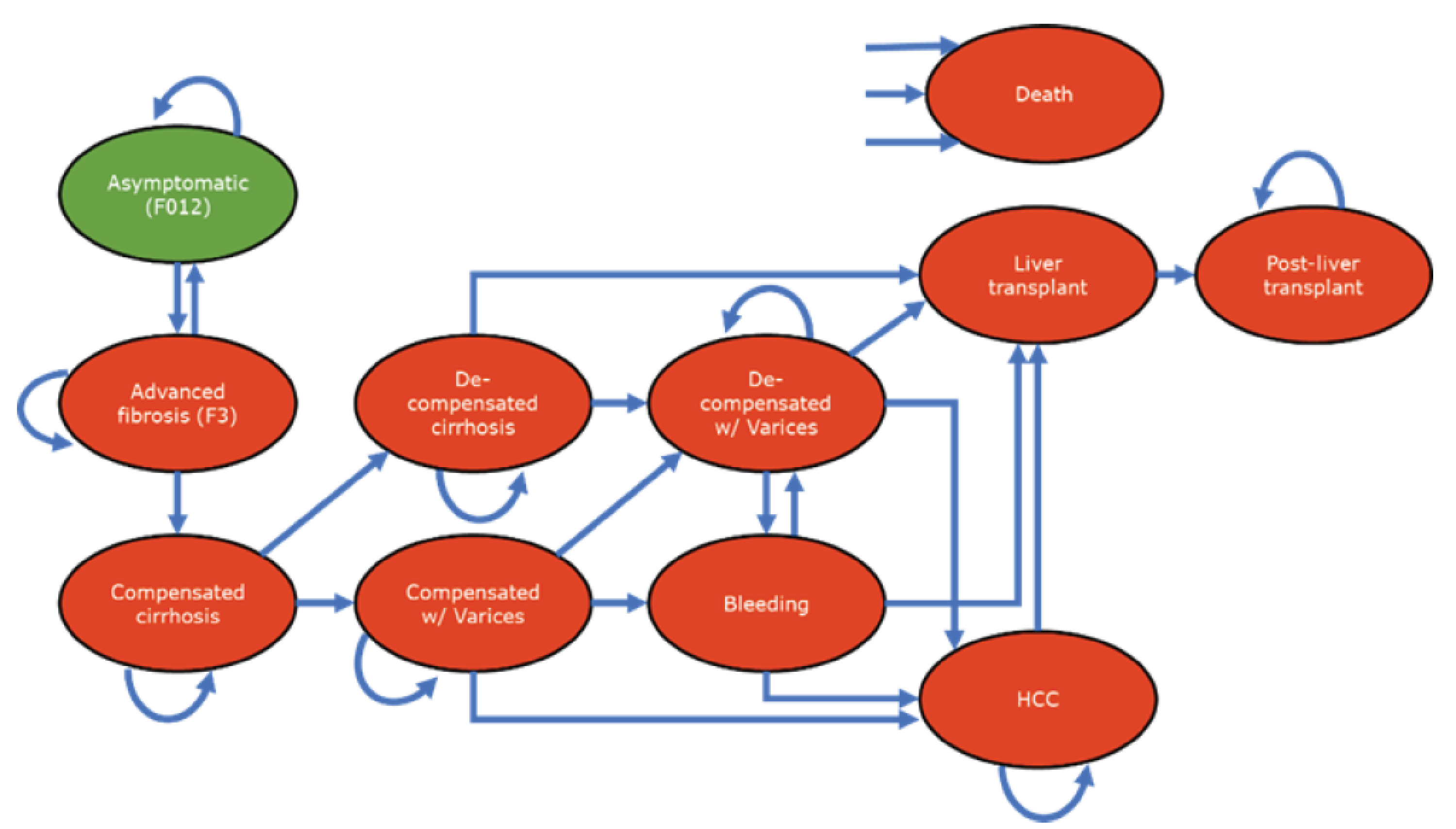 This figure is a depiction of how the model cohort moves through various health states related to liver disease.