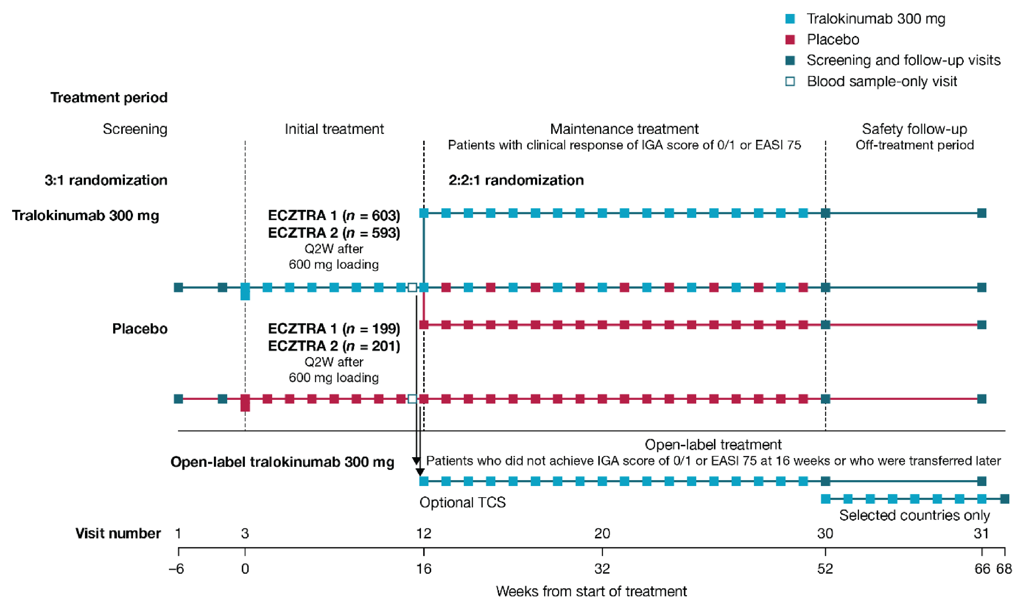 Enrolled patients (N = 802 in the ECZTRA 1 study; N = 794 in the ECZTRA 2 study) were randomized in a 3:1 ratio to either tralokinumab 300 mg every 2 weeks (N = 603 in the ECZTRA 1 study; 593 in the ECZTRA 2 study) or placebo every 2 weeks (N = 199 in the ECZTRA 1 study; 201 in the ECZTRA 2 study) in the 16-week initial treatment period. In the 36-week maintenance treatment period, patients in the tralokinumab group who achieved a clinical response at week 16 were re-randomized 2:2:1 to receive tralokinumab every 2 weeks, tralokinumab every 4 weeks, or placebo every 2 weeks. Patients who did not achieve a clinical response at week 16, as well as patients who did not maintain an adequate clinical response during the maintenance treatment period were transferred to open-label tralokinumab every 2 weeks with optional use of TCS. Patients randomized to the placebo group in the initial treatment period who achieved a clinical response at week 16 continued to receive placebo every 2 weeks in the maintenance treatment period. Upon completion of assigned treatment, patients were followed for safety assessment in the safety follow-up period until week 66.