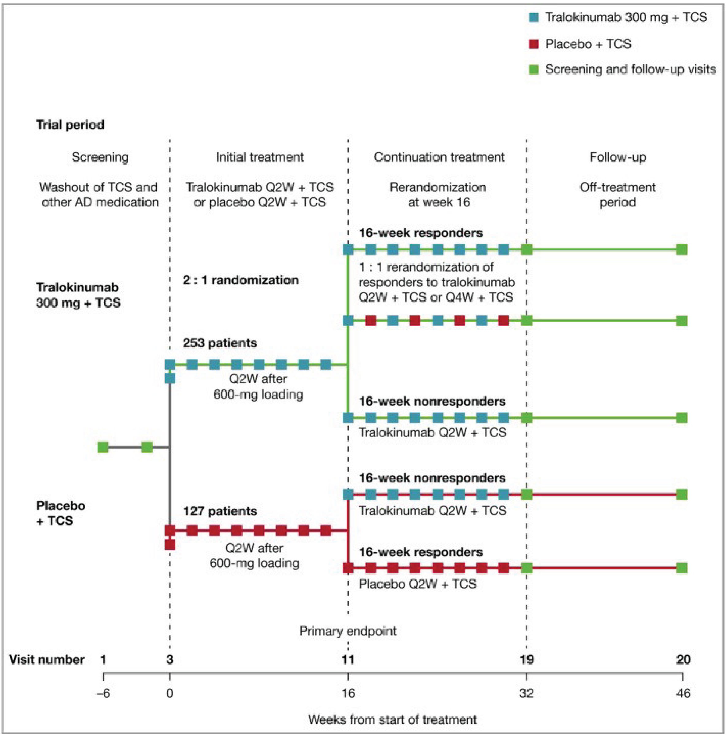 A total of 380 enrolled patients were randomized 2:1 to receive either tralokinumab 300 mg (N = 253) or placebo (N = 127) every 2 weeks in the 16-week initial treatment period. Patients who were assigned to the tralokinumab group in the initial treatment period and had a clinical response at week 16 were re-randomized in 1:1 ratio to either tralokinumab every 2 weeks or tralokinumab every 4 weeks. Patients who received placebo in the initial treatment period and had a clinical response at week 16 continued to receive placebo every 2 weeks. Patients randomized to tralokinumab or placebo in the initial treatment period who did not have a clinical response at week 16 were allocated to receive tralokinumab every 2 weeks in the continuation treatment period. Upon completion of assigned treatment, patients were followed for safety assessment in the safety follow-up period until week 46.