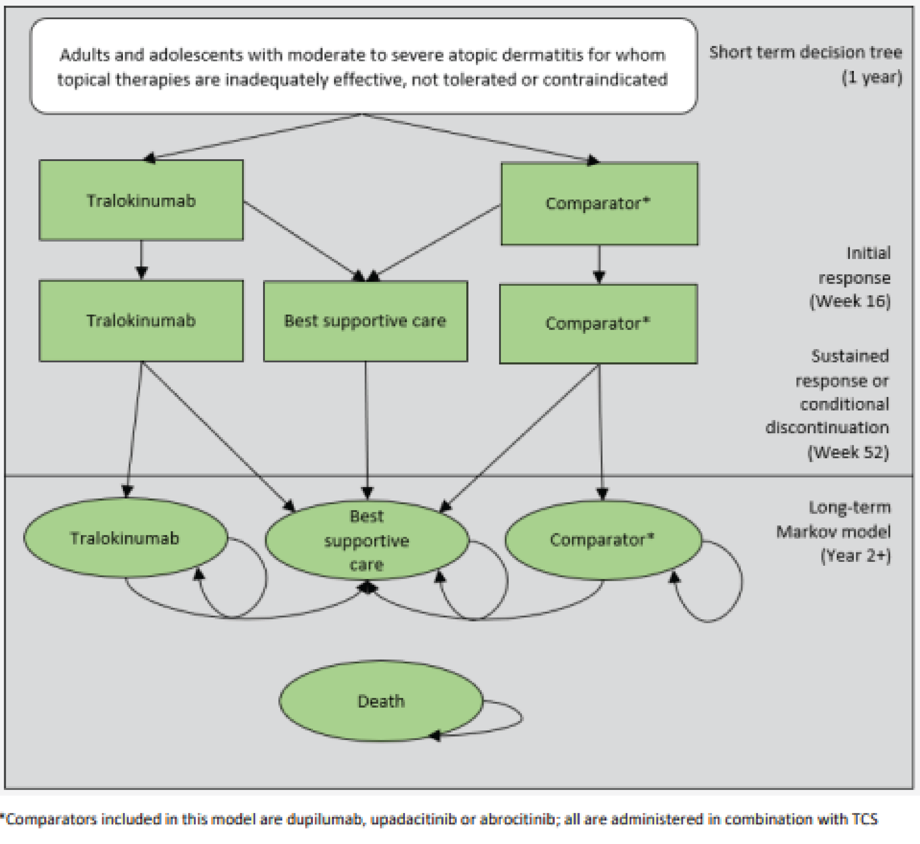 This figure outlines how patients move through the submitted economic model.