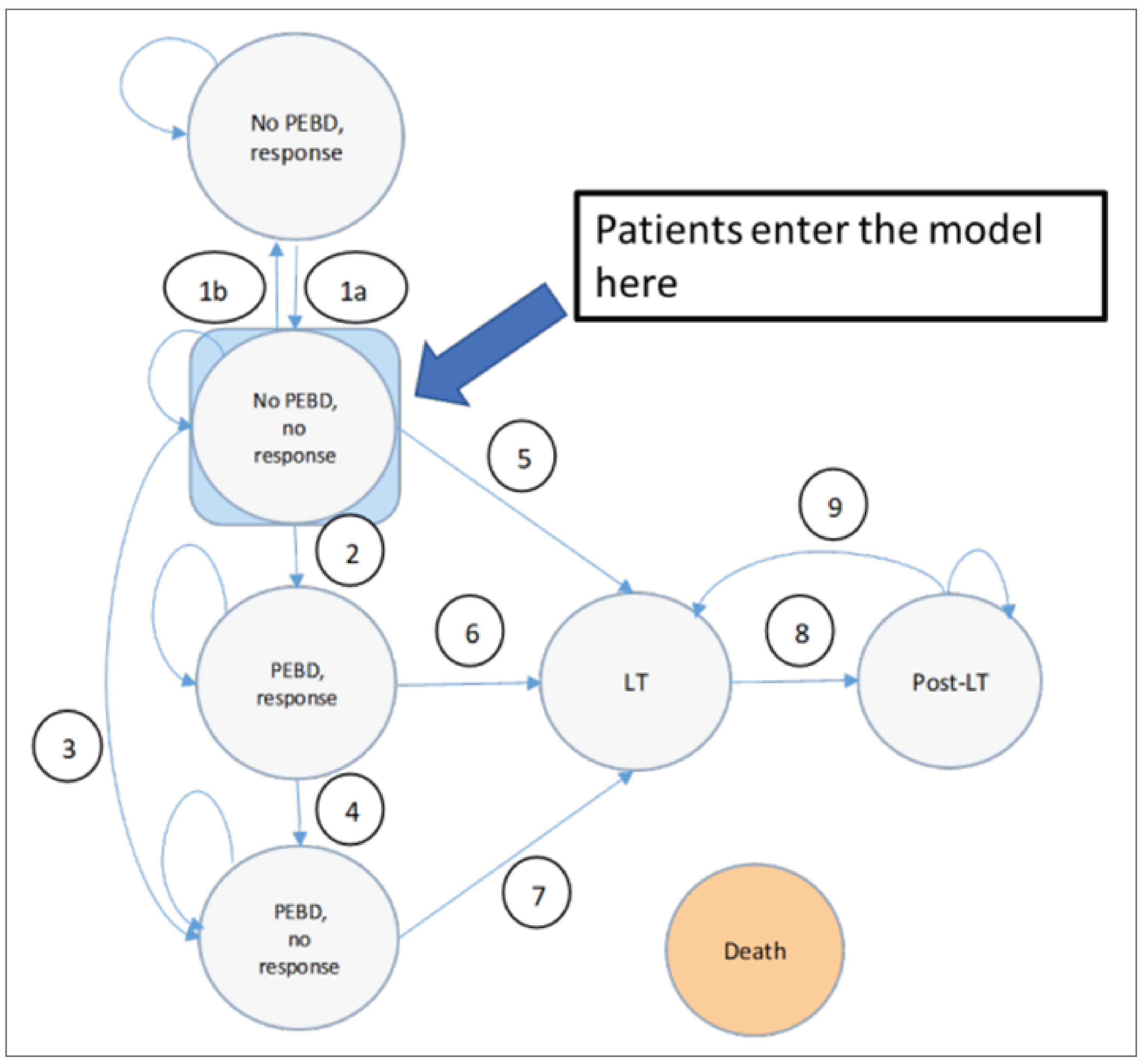 A model structure that shows how patients move between different health states in the model. The patient enters the model at no partial biliary diversion and no response. From there, the patient can move to no partial biliary diversion and no response or to partial biliary diversion and response and then to partial biliary diversion and no response. From these health states, the patient can move to liver transplant and then to post liver transplant.