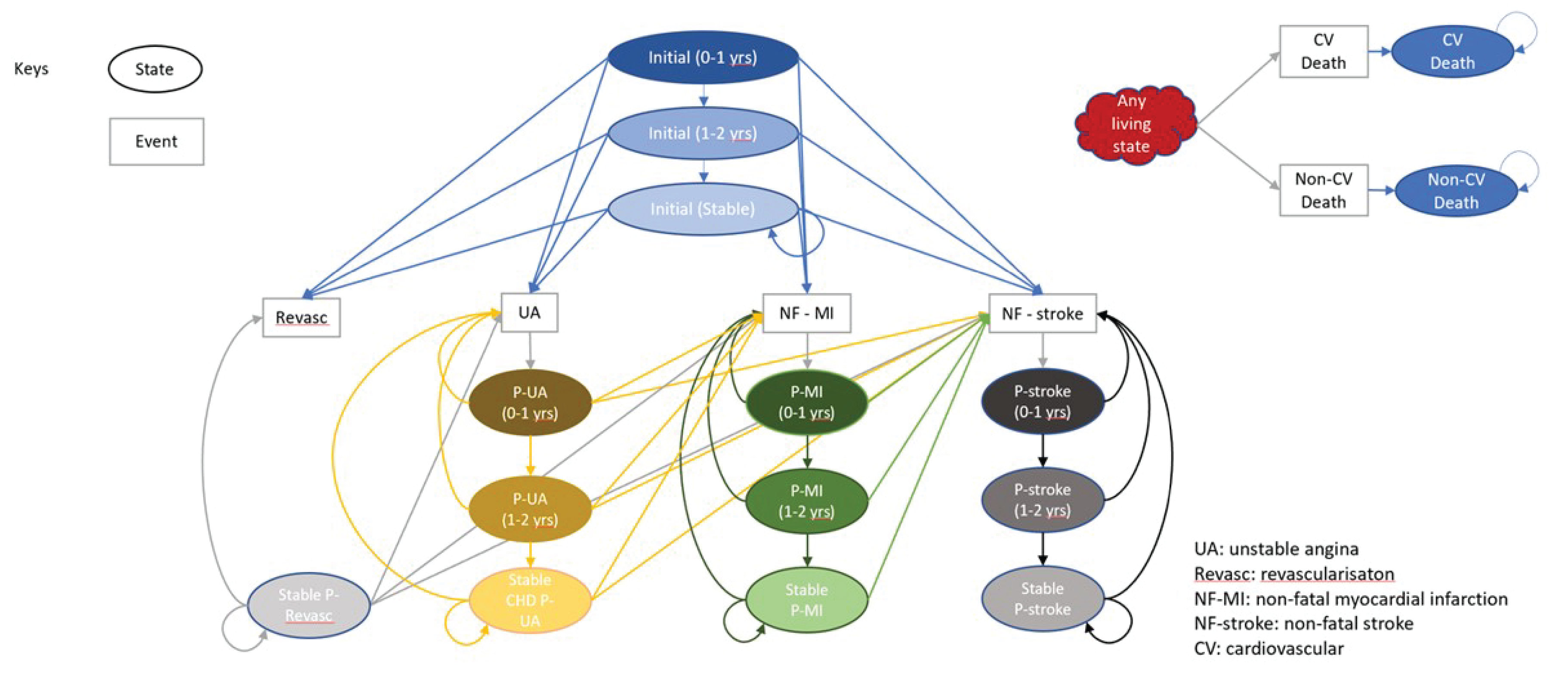 A diagram of the decision model. The cohort may move from the initial state into stable disease, or they move into states representing unstable angina, revascularization, non-fatal MI, and non-fatal stroke. From any state, it is possible for cohort members to transition into death either due to cardiovascular disease or another cause.