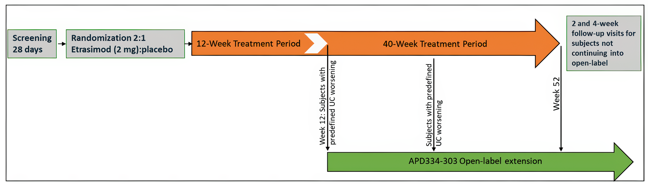 Figure 2 demonstrates the study design flow of the ELEVATE UC 52 trial, including the different periods of study and the flow into the long-term extension study (ELEVATE OLE referred to as APD334 to 303 open-label extension). Patients were randomized in a 2:1 ratio to receive either etrasimod at a dose of 2 mg once daily or a matching placebo for up to 52 weeks of treatment. The ELEVATE UC 52 study comprised a 28-day screening period and a 12-week induction treatment period followed by a 40-week maintenance treatment period with a treat-through design. Patients who experienced disease worsening after 12 weeks of treatment or during the 40-week maintenance treatment period could participate in the ELEVATE OLE study. Patients who did not enrol in the ELEVATE OLE study had follow-up visits at weeks 2 and 4.