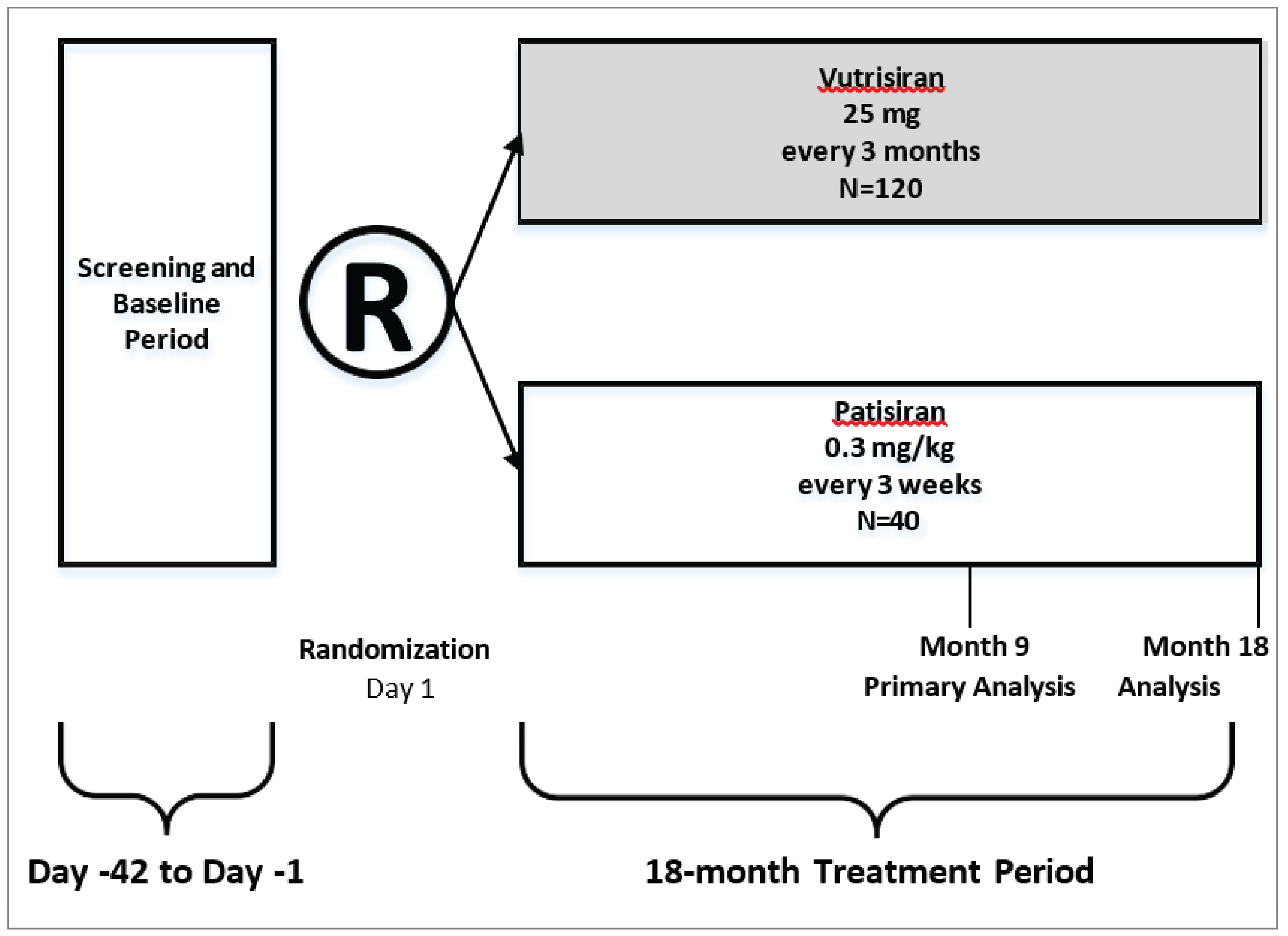 Flow chart of the clinical trial study design. The process begins with a screening and baseline period leading into randomization to different treatment groups: on day 1, 120 participants will receive 25 mg of vutrisiran every 3 months, and 40 participants will receive patisiran at a dosage of 0.3 mg per kilogram of body weight every 3 weeks. The overall period from day 1 to month 18 is noted as the 18-month treatment period. The timeline pretreatment observation phase begins with day –42 to day –1.