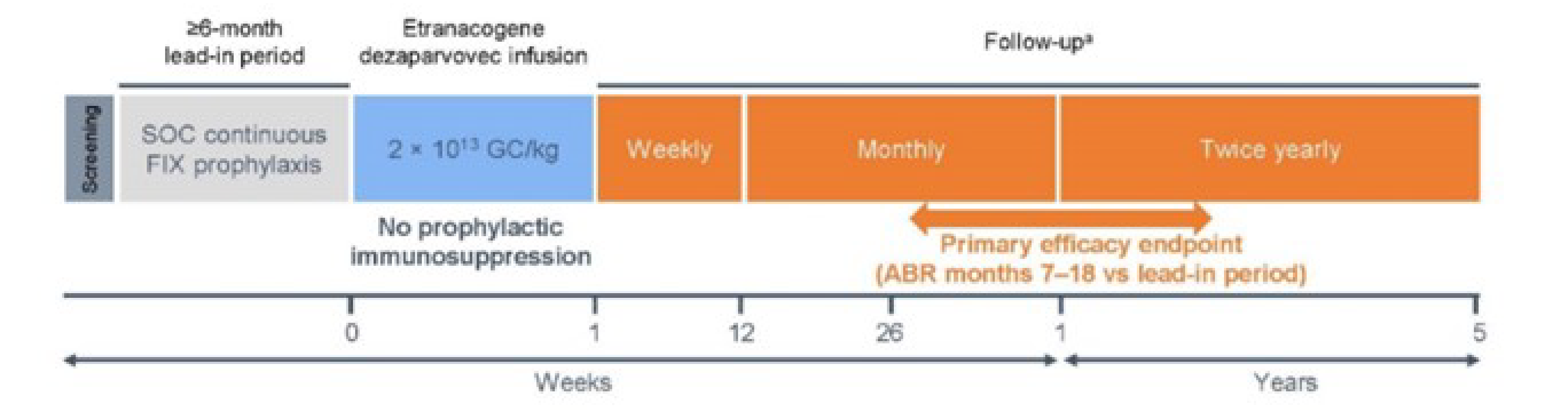 Study design schema of the pivotal HOPE-B trial. The HOPE-B study consists of the screening phase, lead-in phase, etranacogene dezaparvovec infusion phase, and posttreatment follow-up phase. During the lead-in phase, patients received continuous FIX prophylaxis and were followed up for at least 6 months (i.e., 26 weeks). For patients who completed the lead-in phase and received etranacogene dezaparvovec infusion were followed up for up to 5 years post infusion.