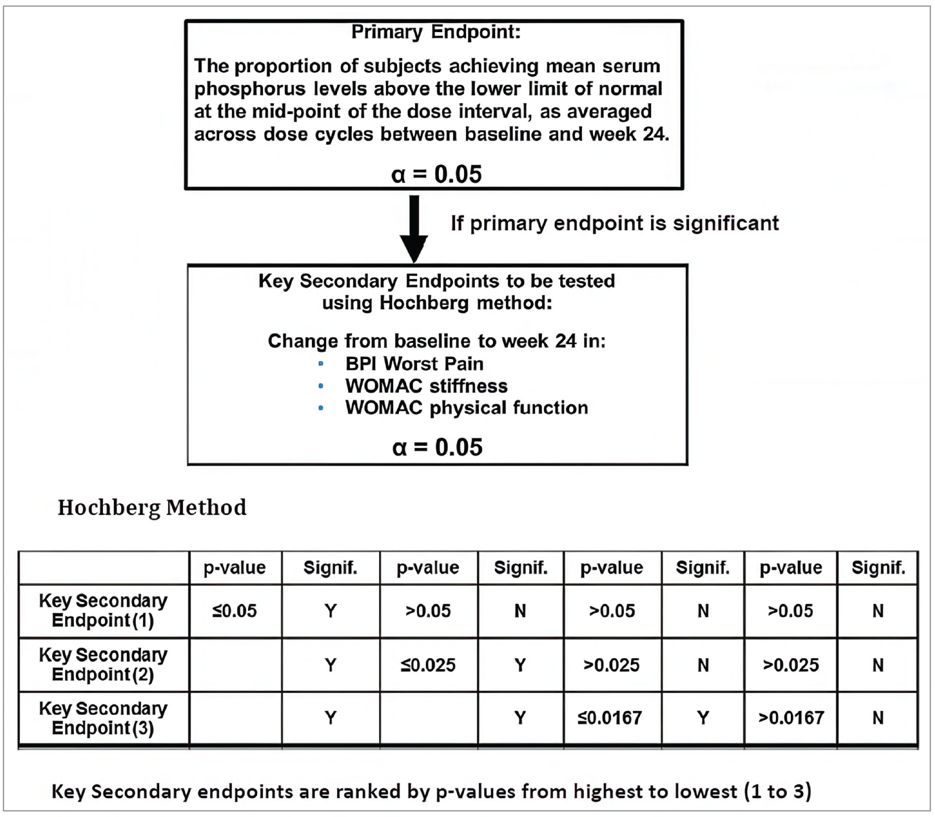 Figure 2 contains a flow chart describing the multiplicity adjustment for the key secondary outcomes (BPI worst pain, WOMAC stiffness, and WOMAC pain) in the CL303 trial. The primary end point was the proportion of patients attaining mean serum phosphorus above the LLN at the midpoint of the dose interval, as averaged across dose cycles between baseline and week 24. If the primary end point was significant, then testing for the key secondary end points was done using the Hochberg method in sequential order: change from baseline to week 24 in BPI worst pain, WOMAC stiffness, and WOMAC physical function. The Hochberg method required that the change from baseline in BPI worst pain be significant with a P value of 0.05 or less to test WOMAC stiffness, which required a P value of 0.025 or less to be significant to test WOMAC physical function, which required a P value of 0.0167 or less to be significant.