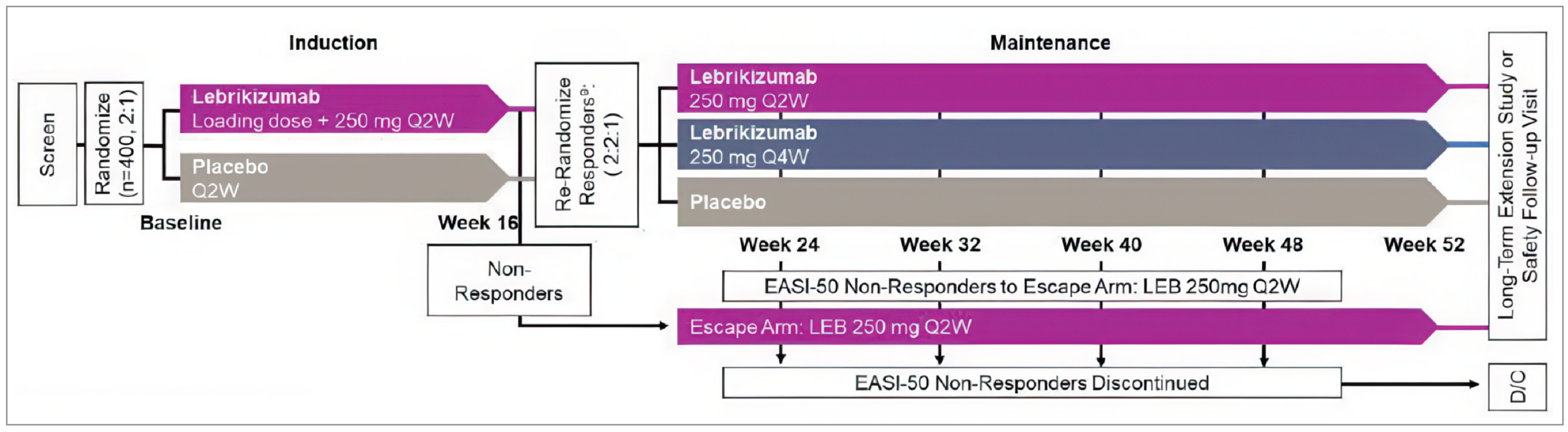 In Figure 1, the flow of patients through the induction and maintenance phases of the studies, as described in the text in this section of the report.