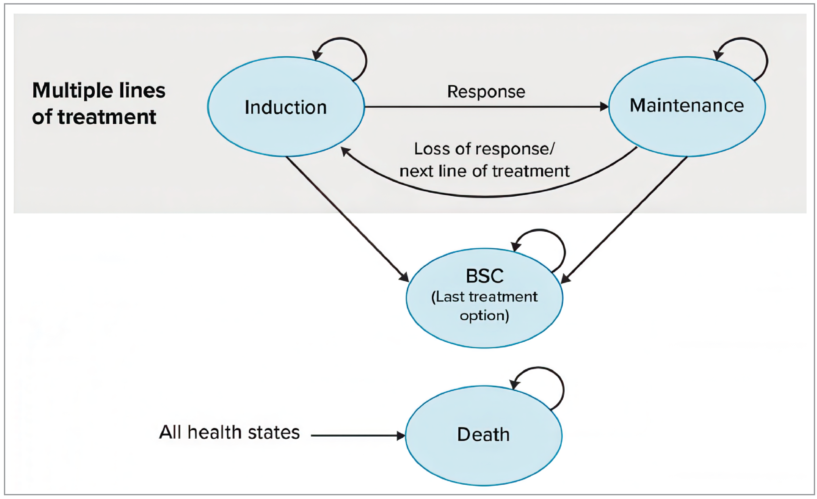 Figure 1 is a 4-state Markov model where all patients start in the induction health state. From there, they can remain in the induction health state, or transition to either the maintenance health state, BSC health state, or death health state. From the maintenance health state, patients can remain in the maintenance health state or transition to the induction health state, BSC health state, or death. Once in the BSC health state, patients remain there until they transition to the death health state.