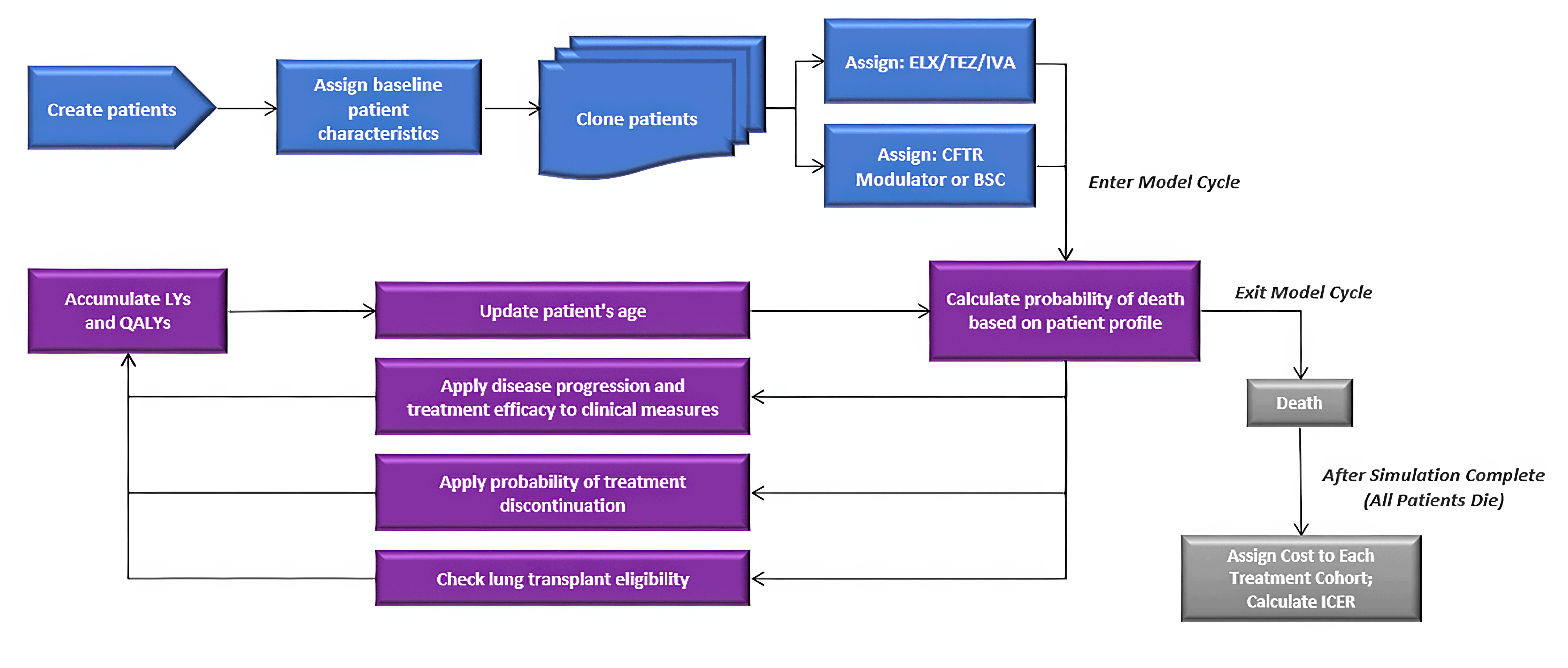 A diagram of the decision model. Simulated cohort members are assigned to receive either elexacaftor-tezacaftor-ivacaftor plus ivacaftor or best supportive care. The model then runs based on the probability of death based on the member’s profile, updates treatment characteristics and age, then it reruns. Simulated cohort members exit the model when they experience death.