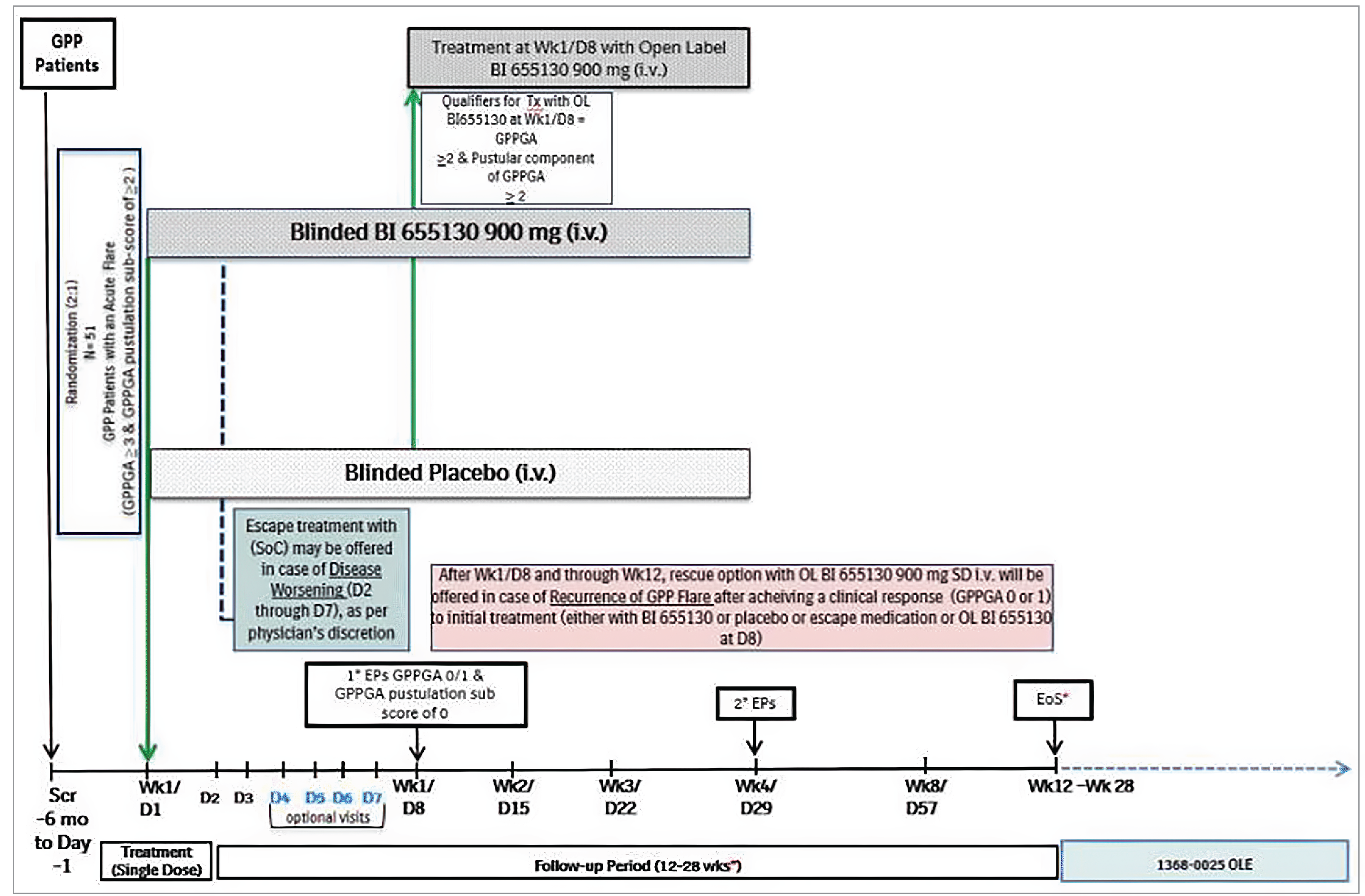 The study design for the Effisayil 1 trial shows how patients with GPP were screened and randomized to receive spesolimab IV or placebo on day 1. Patients received either spesolimab 900 mg single-dose IV or placebo. The Effisayil 1 trial comprised 3 phases: a screening period of up to 6 months, a single-dose treatment on day 1, and a follow-up period from 12 to 28 weeks. Follow-up duration varied across patients and depended on whether they needed rescue treatment with open label spesolimab after week 1 (day 8) through week 12.