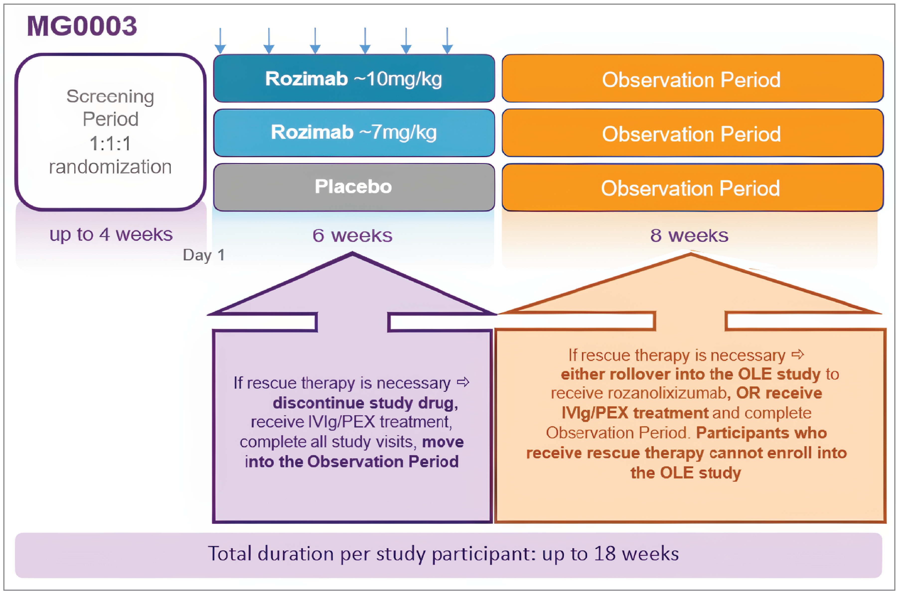 This figure describes the design for both the pivotal study and the extension. The sequence of events begins with a screening phase, then randomization, followed by the treatment phase and observation period.